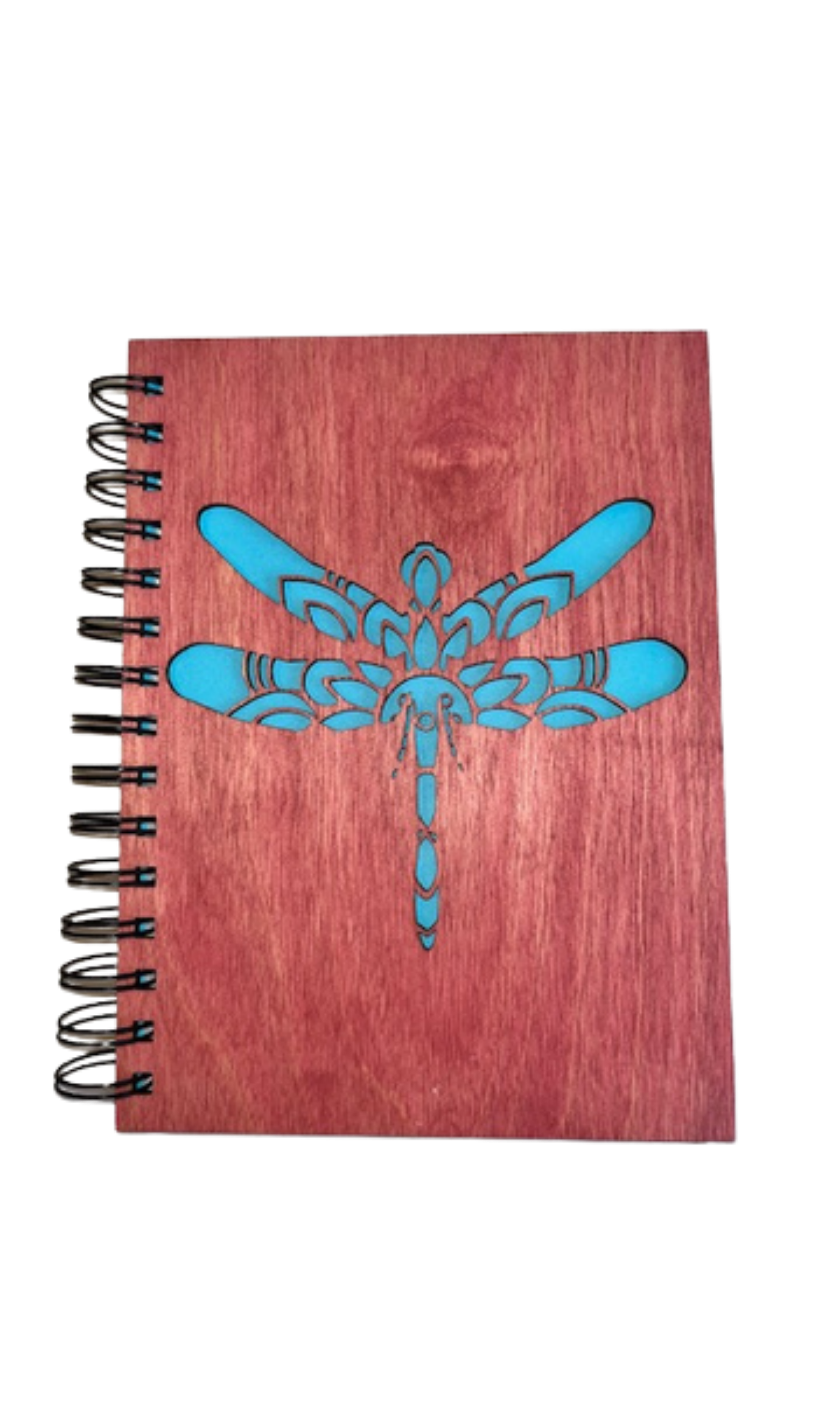 Medium Dragonfly Journal