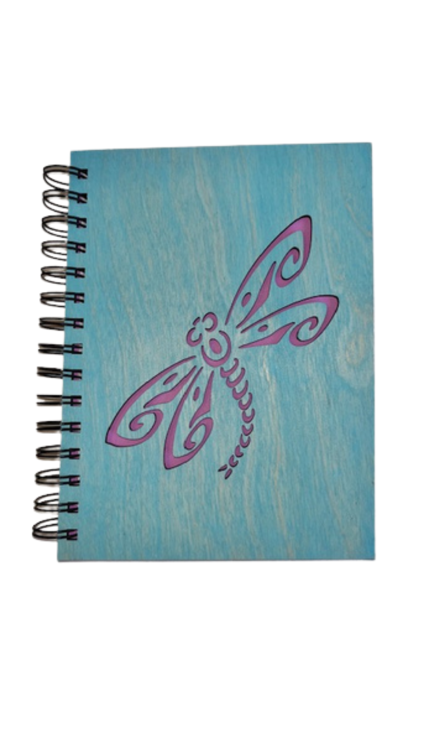 Medium Dragonfly Journal