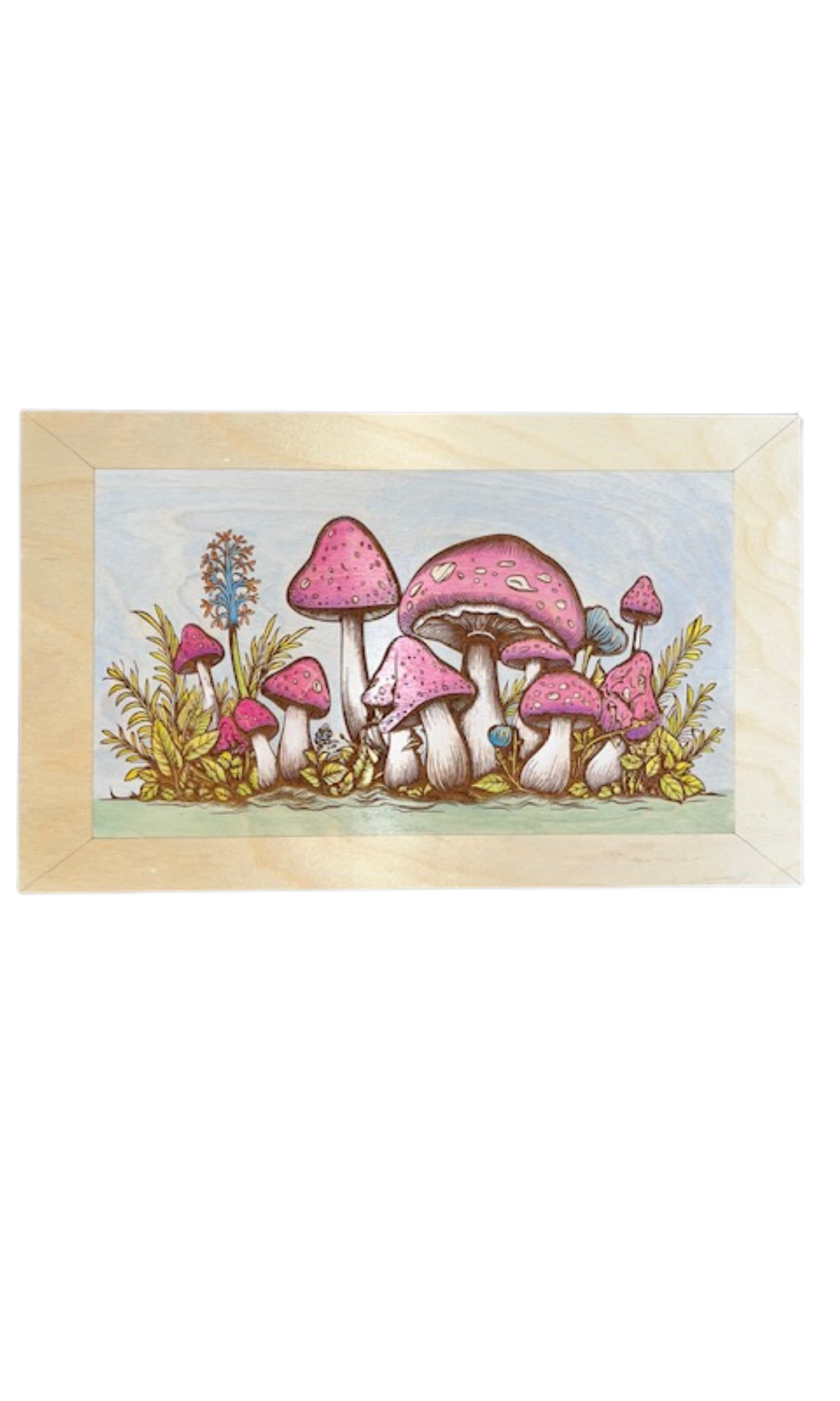 11x18 Pink-12 Mushrooms