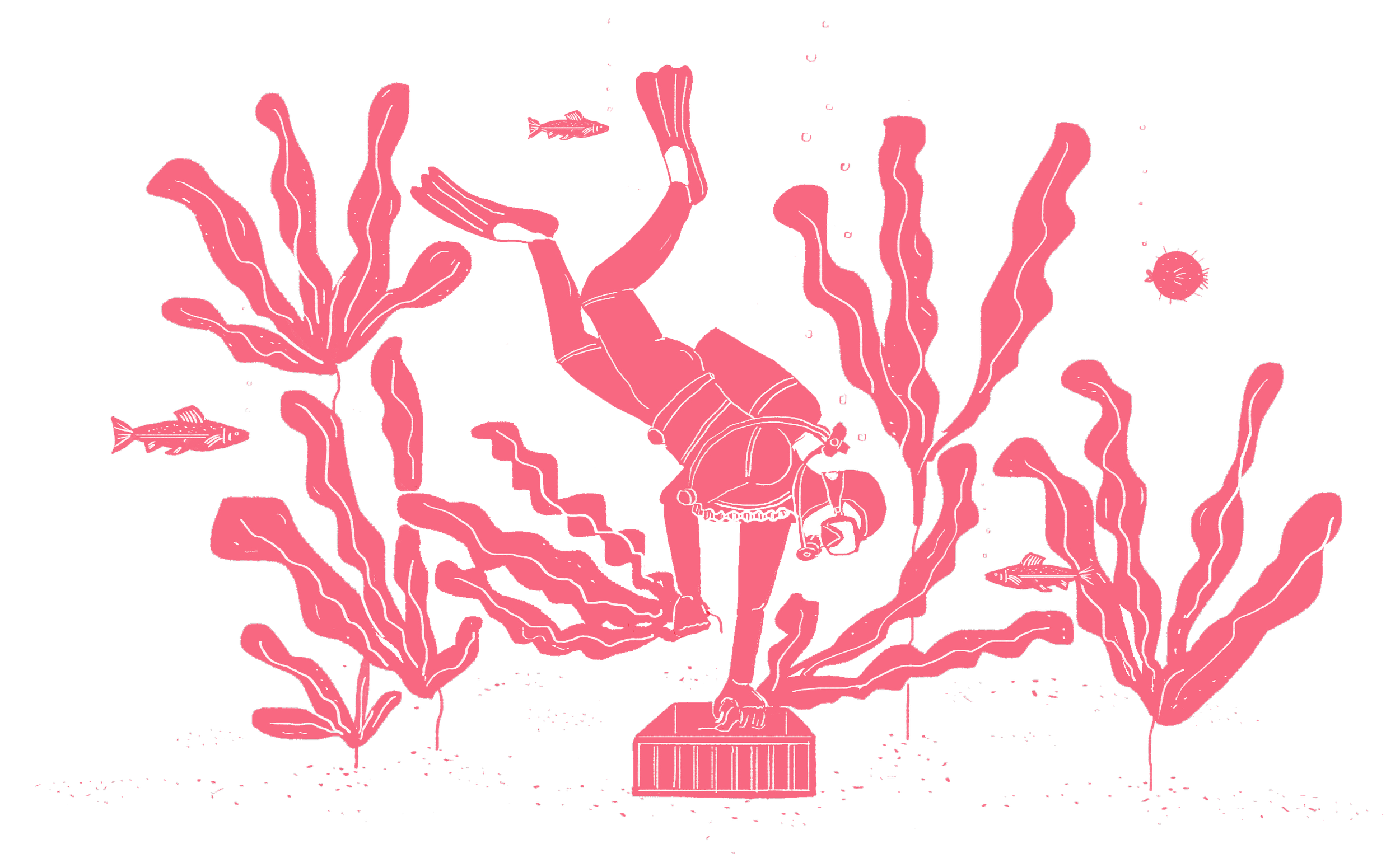 Pink illustration of a diver exploring underwater coral and fish, with the diver standing on a pedestal surrounded by seaweed and marine life.