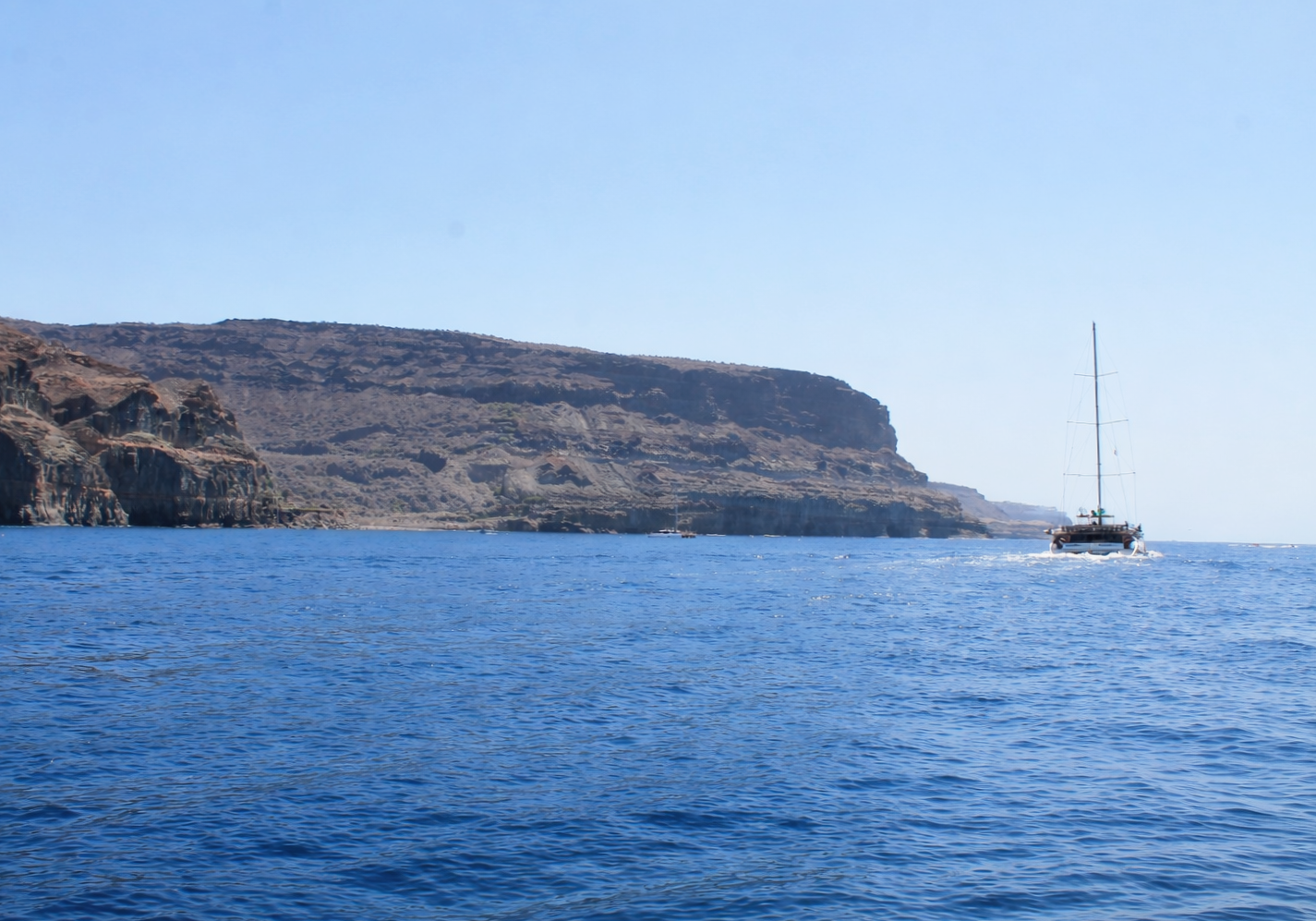A catamaran sailing on calm blue water.
