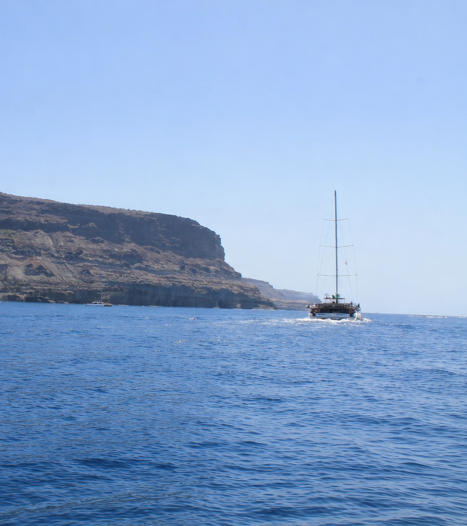 A catamaran sailing on calm blue water.