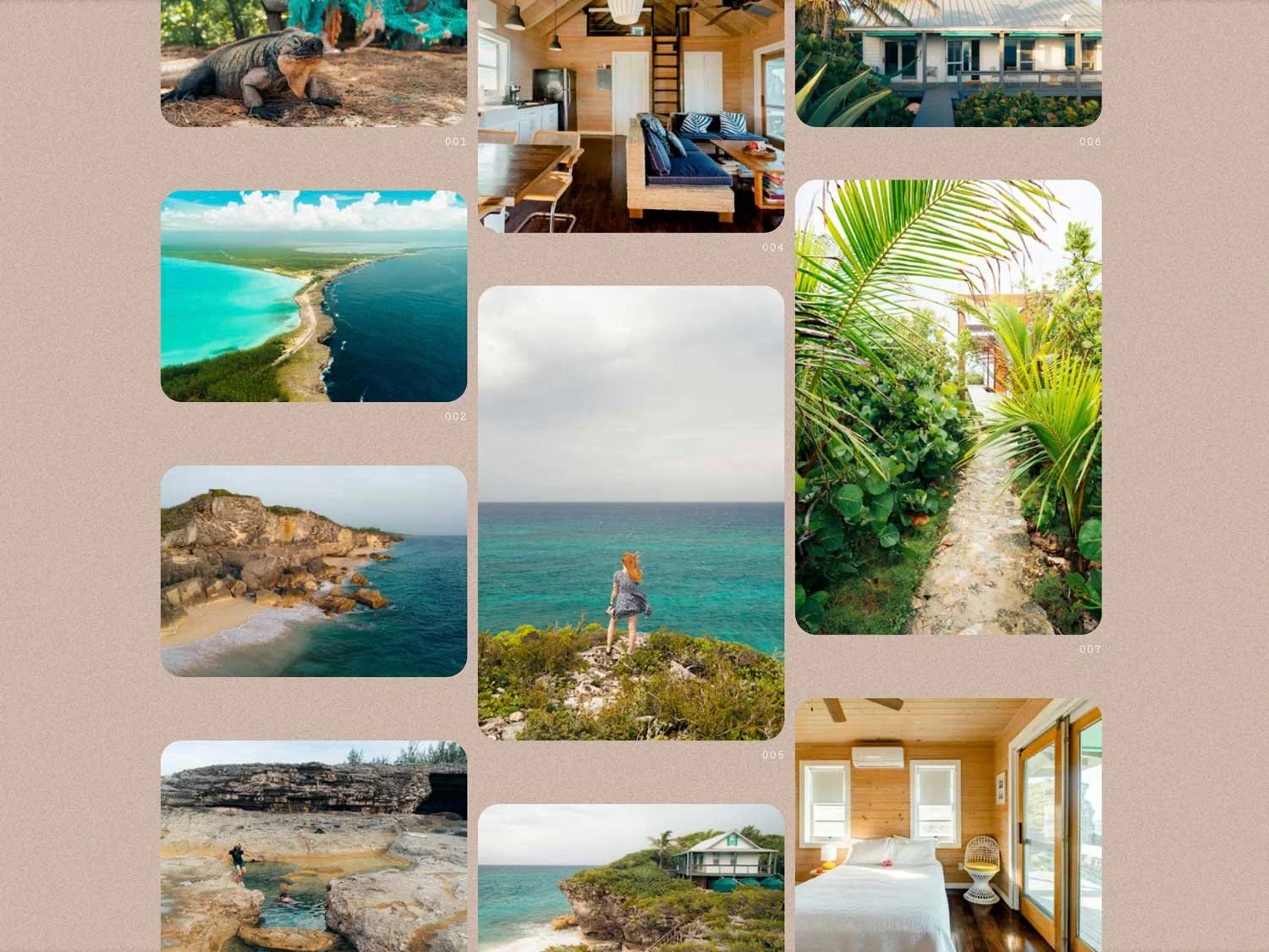 Collage of travel and vacation scenes including a manatee resting on the sand, an aerial view of a coastline, an interior of a cozy living room with wooden walls, a drone shot of a tropical beach, a woman standing on rocks overlooking the ocean, a lush garden path with tropical plants, a rocky shoreline with two people exploring, a beach with cliffs, and a bedroom with wooden walls and large windows.