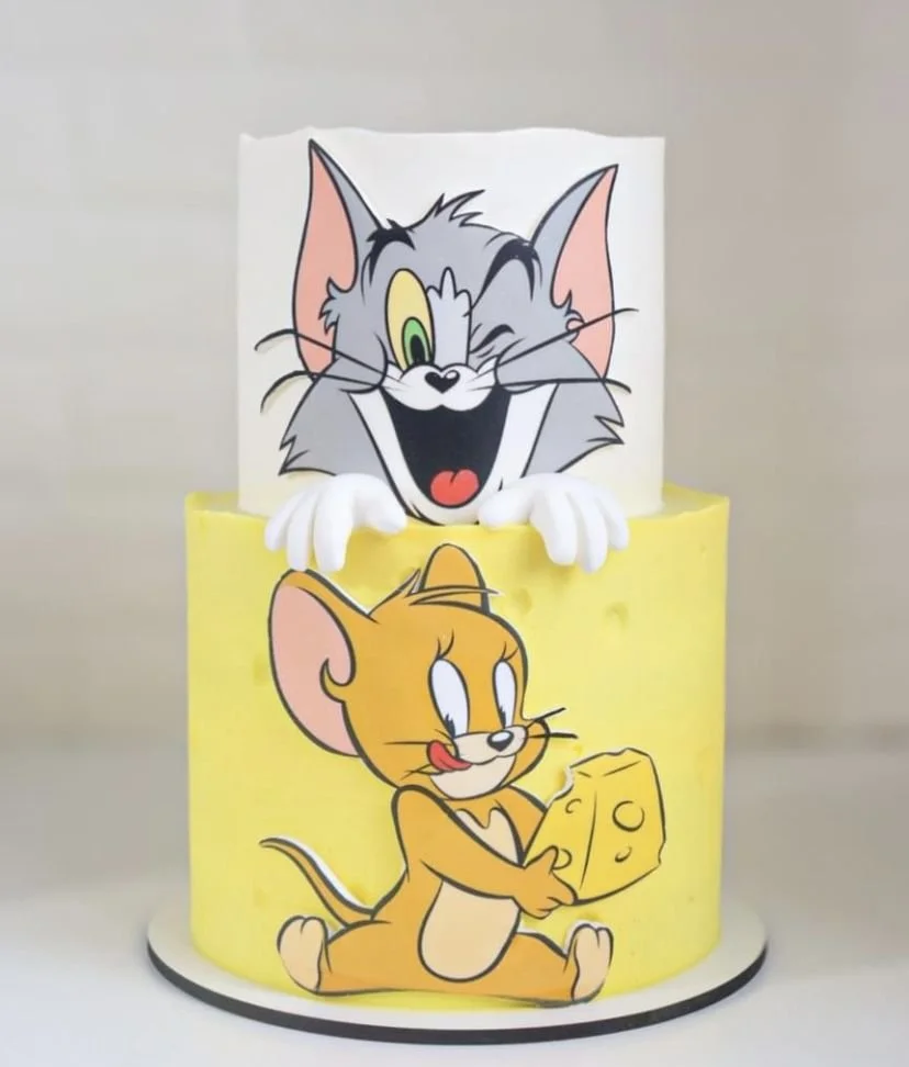 Tom & Jerry Step Cake