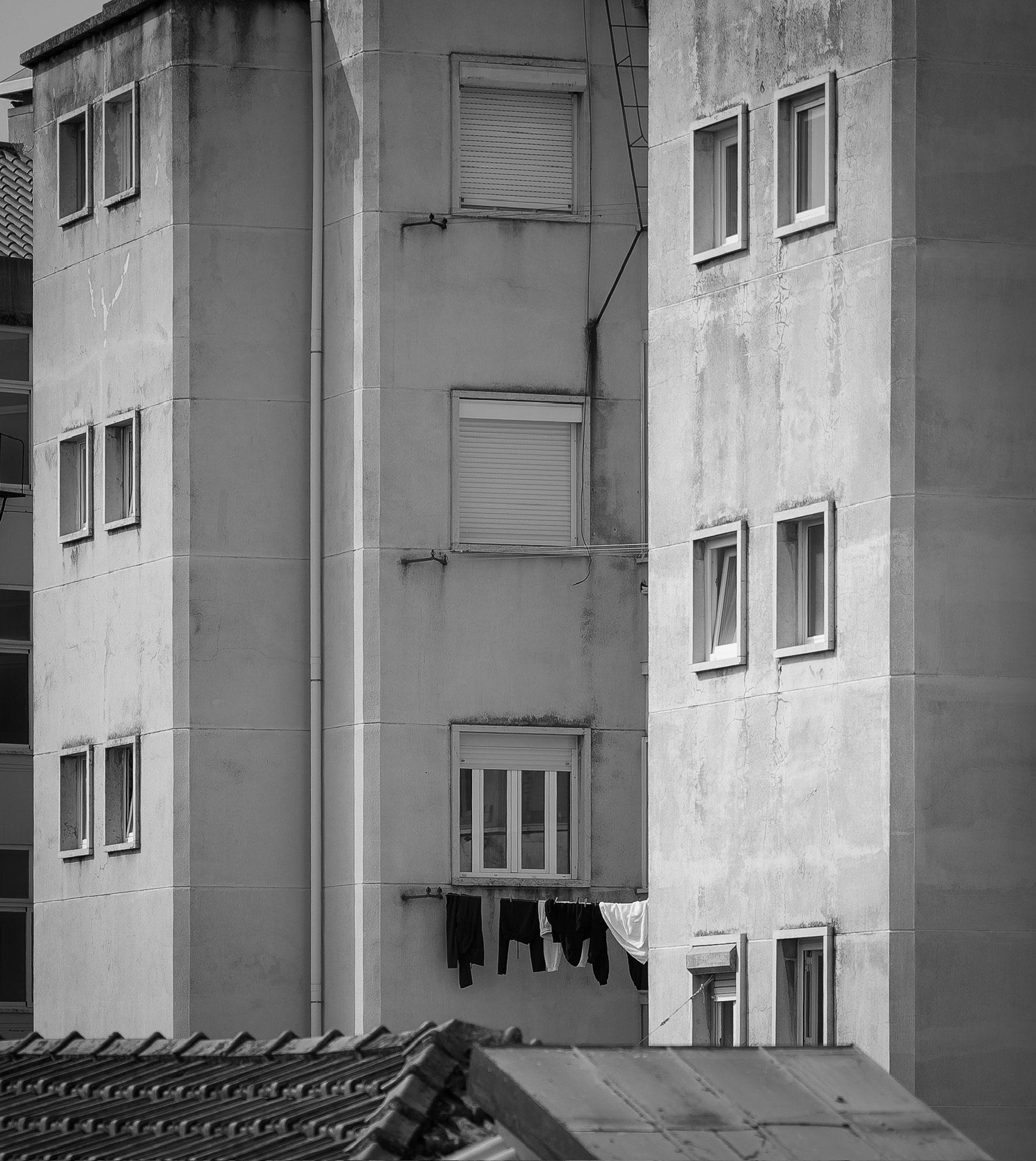 AMA_5935-DxO_DeepPRIME 3.JPG