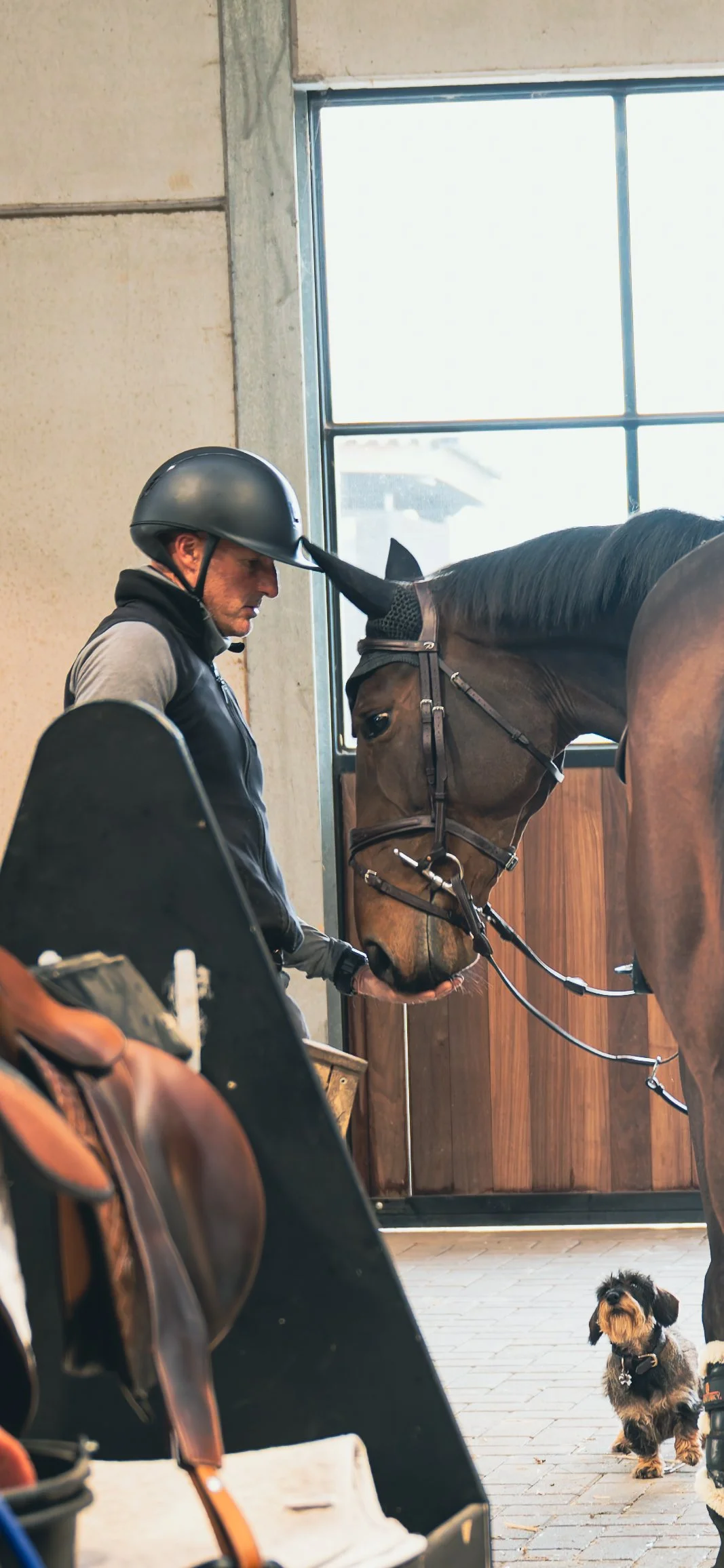 AMA_5674-DxO_DeepPRIME XD2s-4.jpg