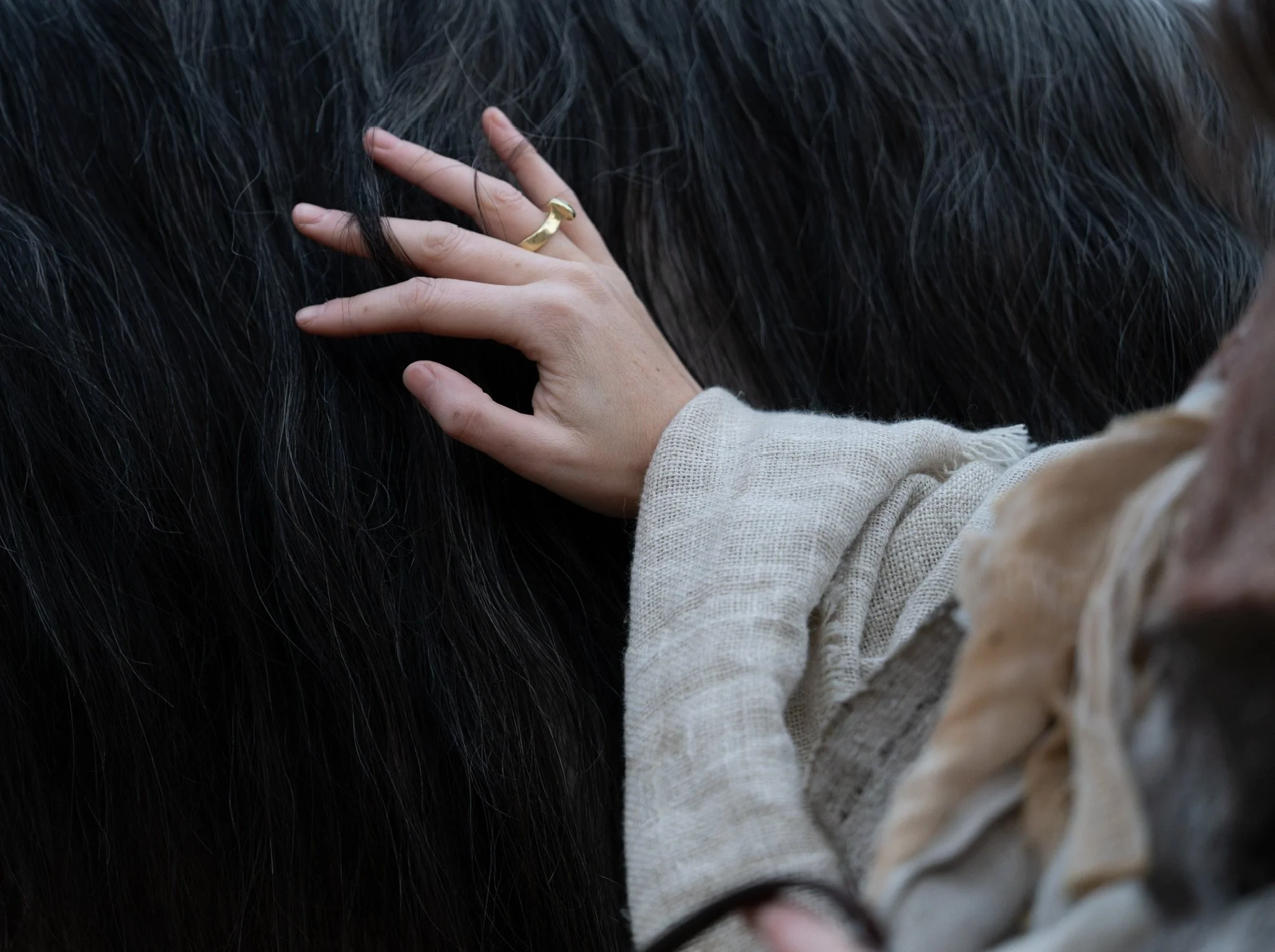 AMA_6390-DxO_DeepPRIME 3.JPG