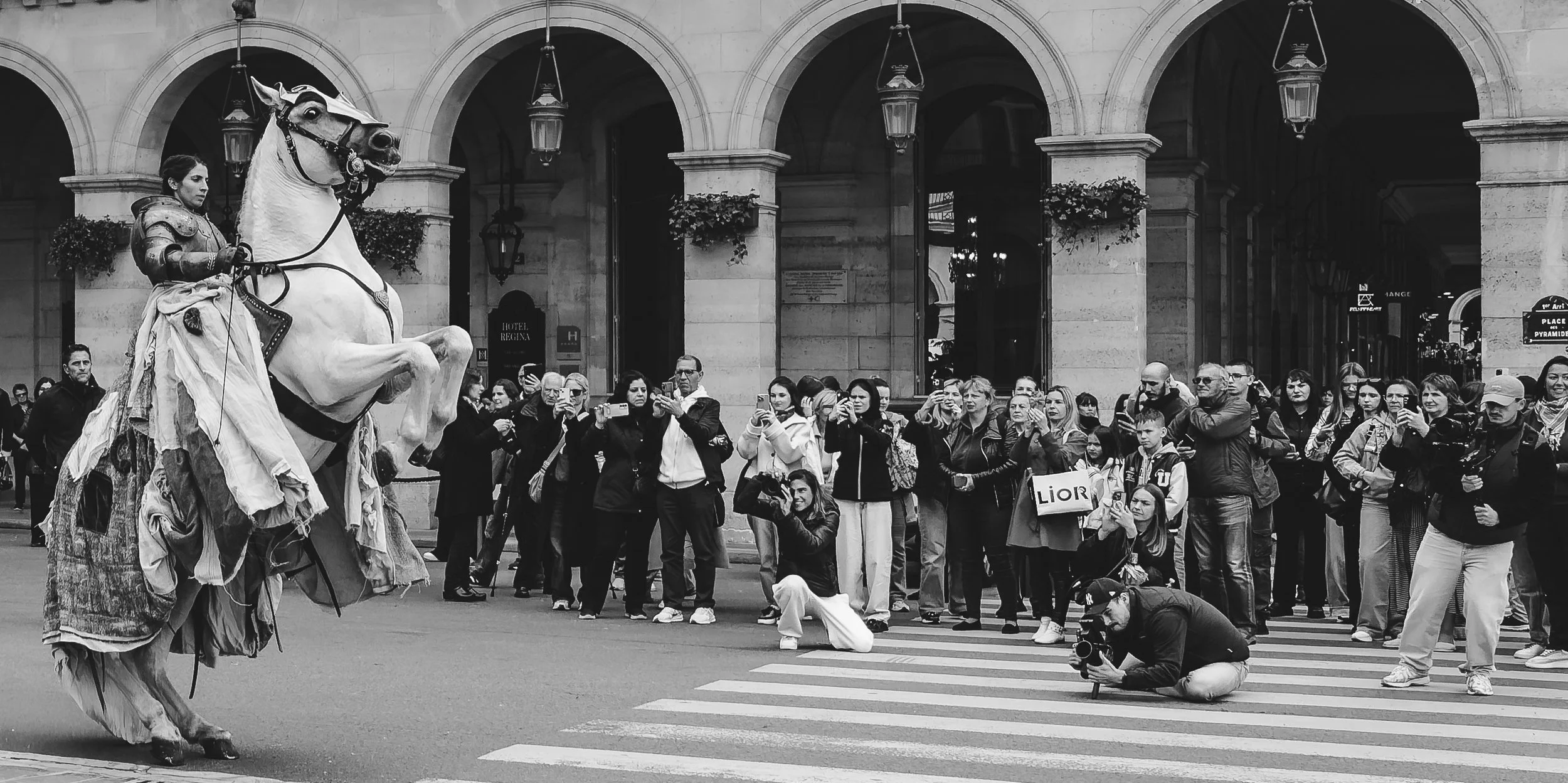 Een stoet van mensen die foto's maken van een paard dat rechtop staat en gedragen wordt door een rijder, in een stad met een historisch gebouw op de achtergrond.