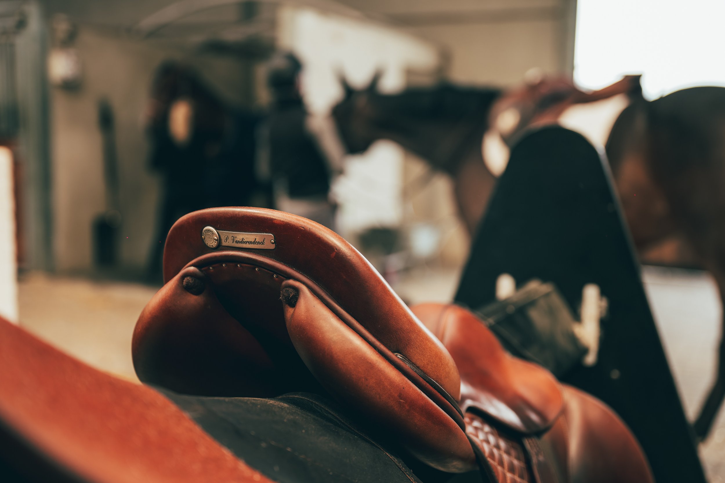 AMA_5683-DxO_DeepPRIME XD2s.jpg