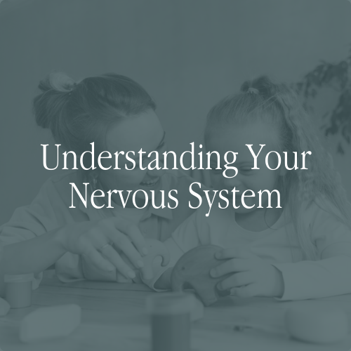 Understanding Your Nervous System