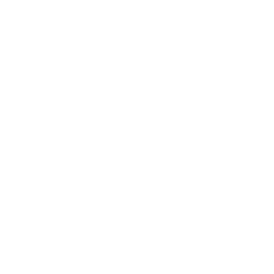shared vision