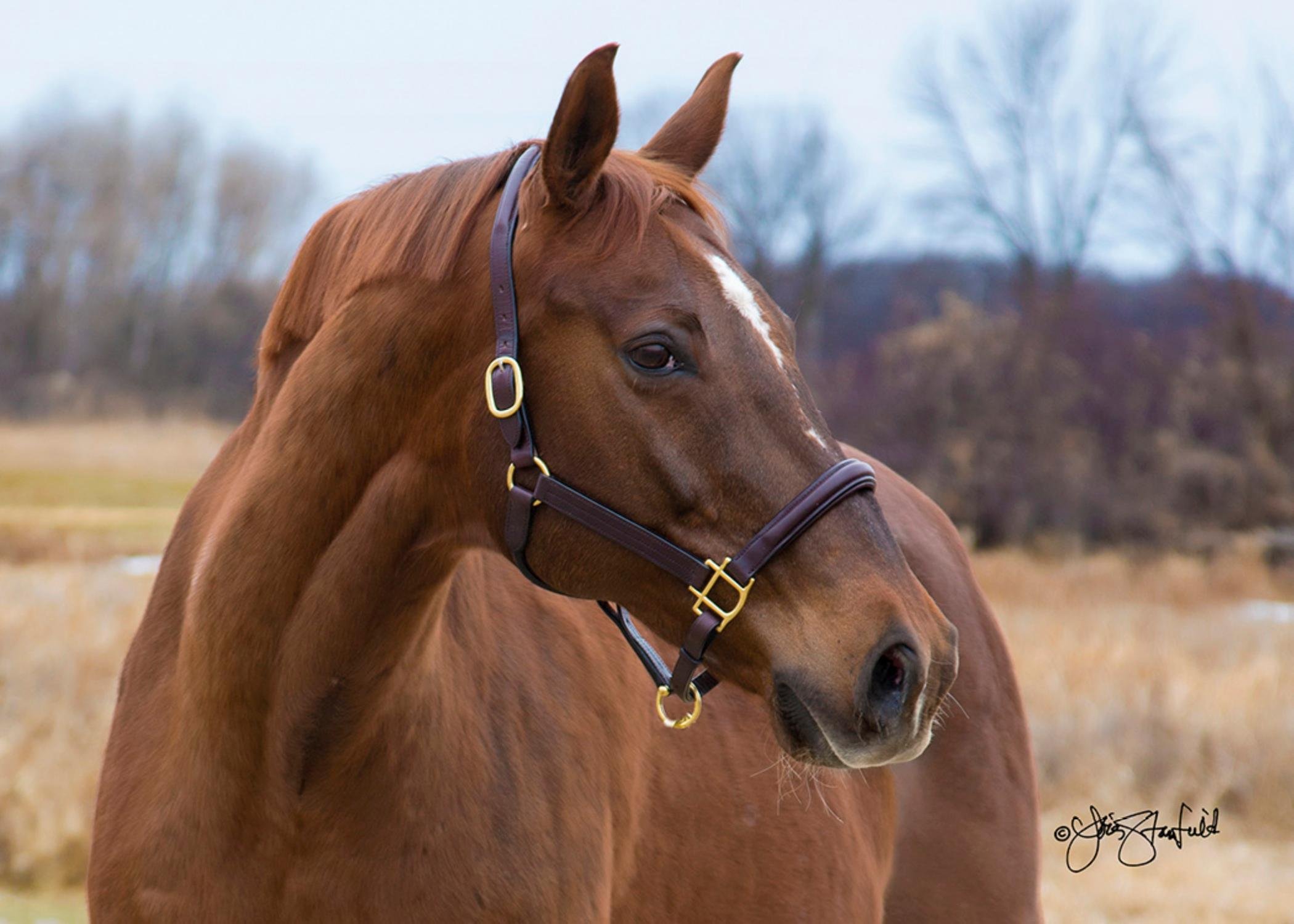 Rein Dance aka Danny_3.jpg