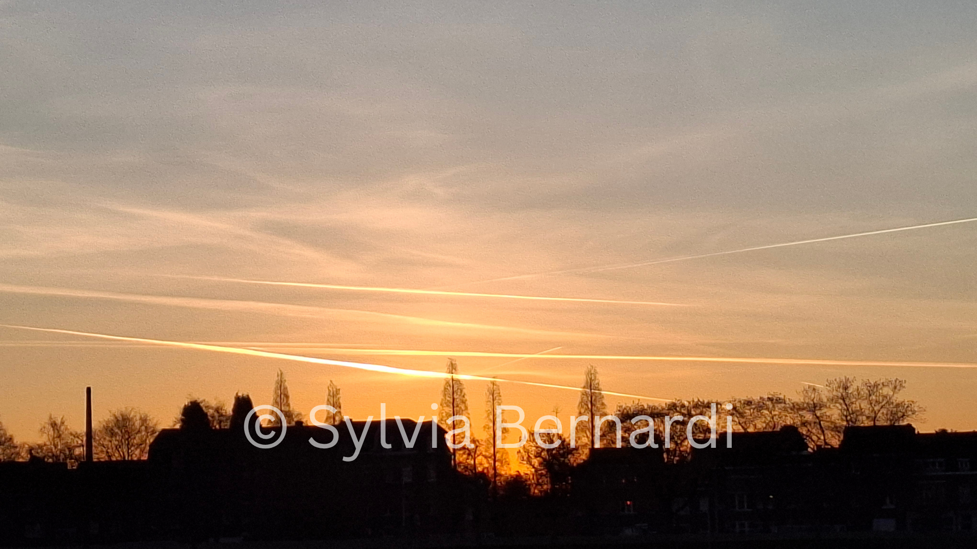 Lines of Light Contrails over Dutch City