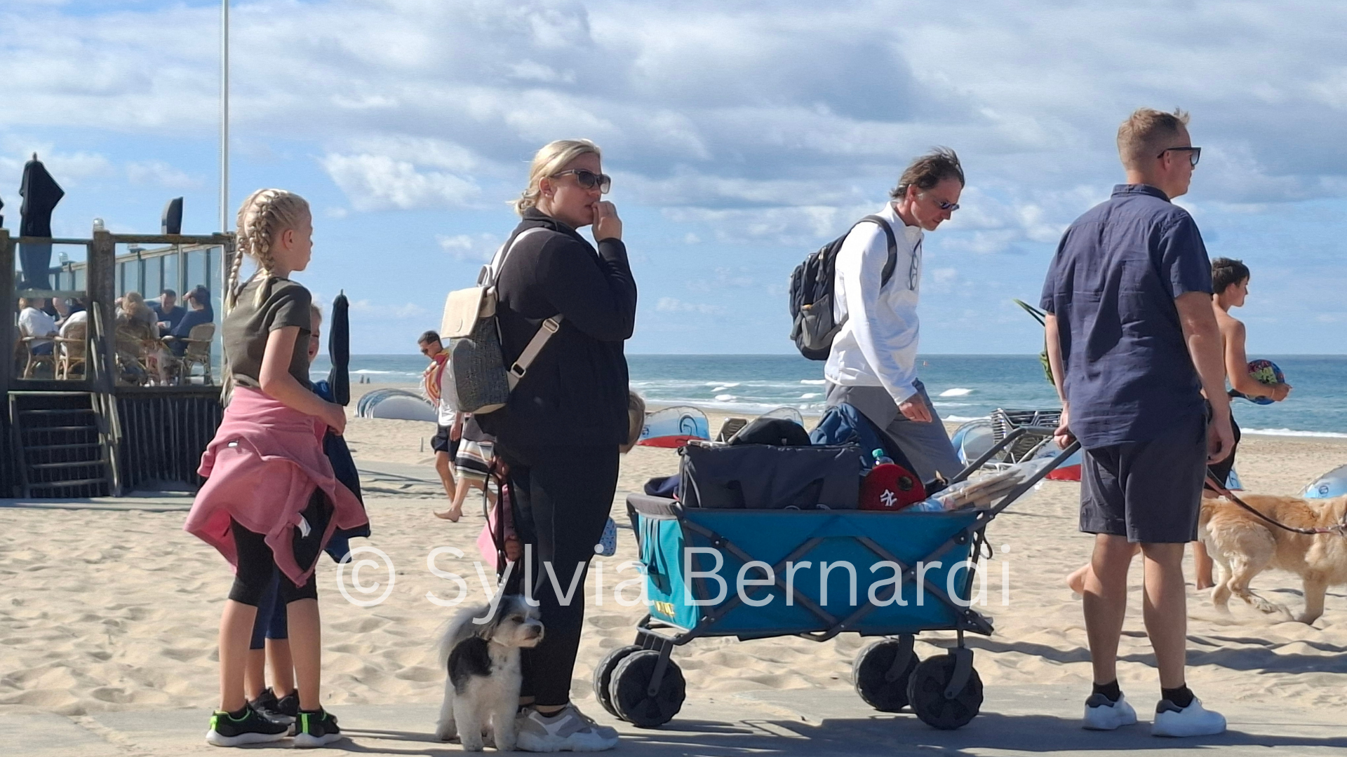 A Day at the Dutch Coast