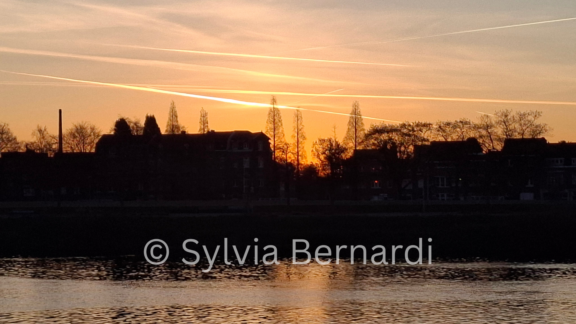 Warm Silhouette Amber Dutch Sunset