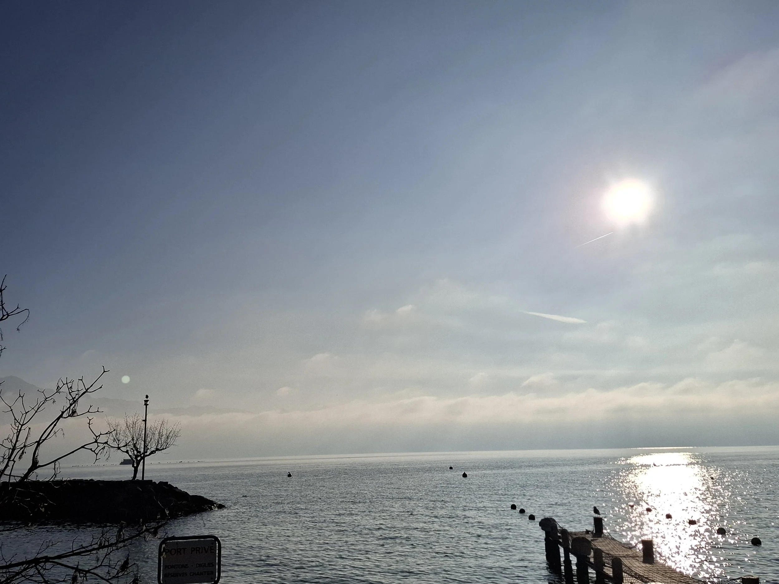 A view of the ocean with waves reflecting sunlight, some trees on the shoreline, a pier or dock with a sign, and a clear sky with the sun shining.