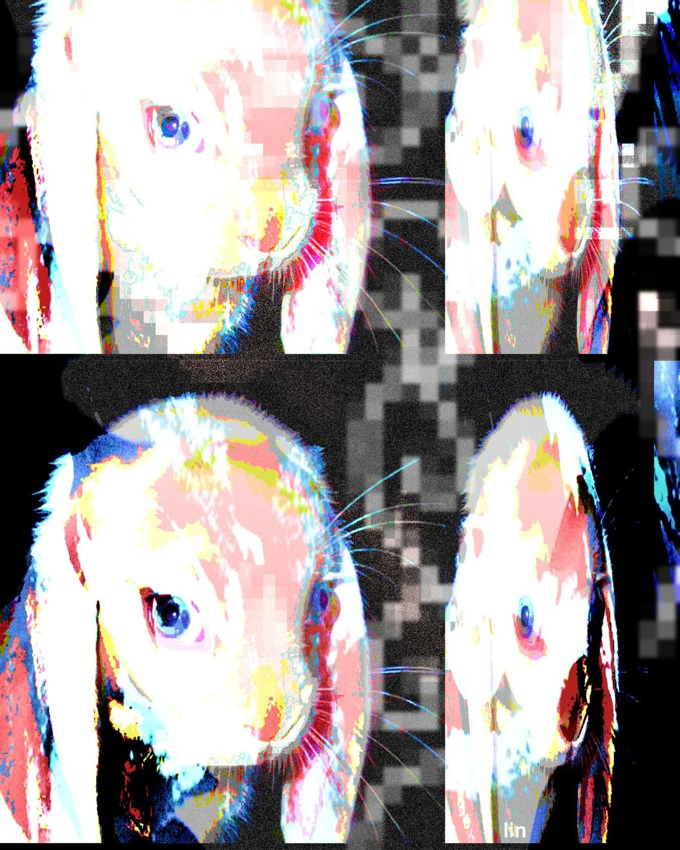 SnapInsta.to_671818298_17884674720488024_8222139363613138255_n.jpg