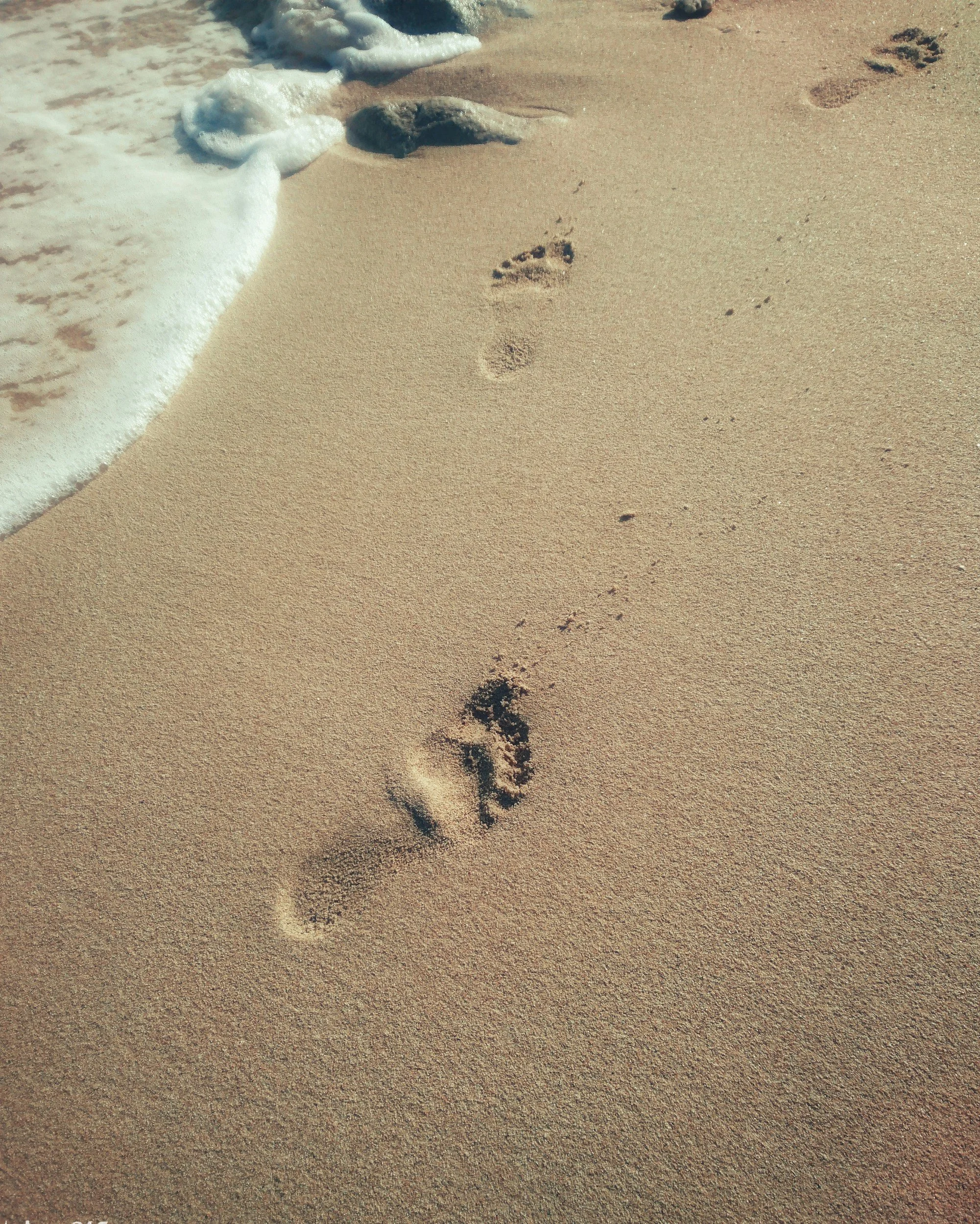 Footprints in the sand near the shoreline with gentle waves