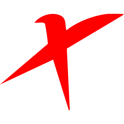 The stylized red Excel X icon