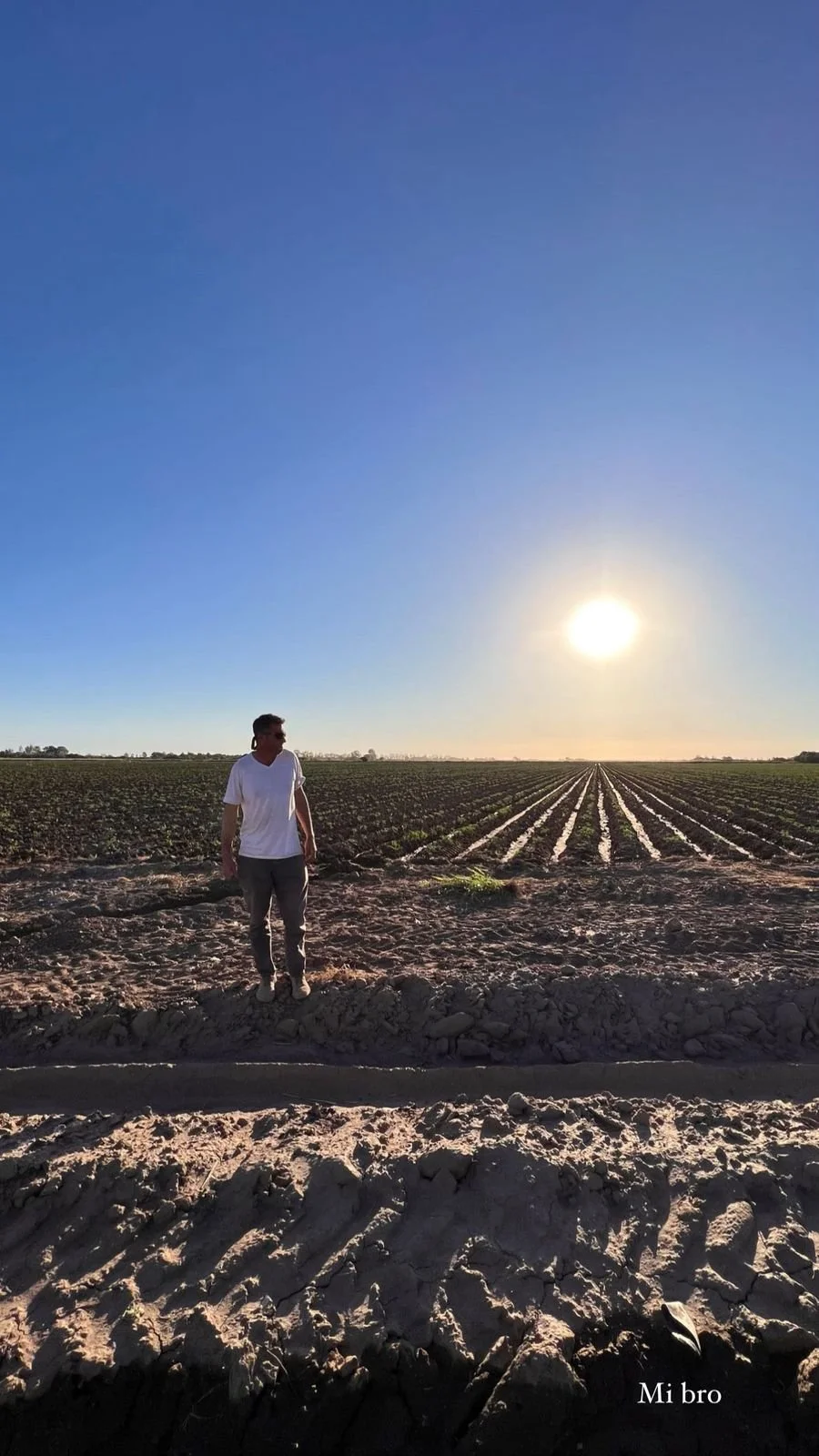 WhatsApp Image 2026-02-15 at 16.48.26.jpeg