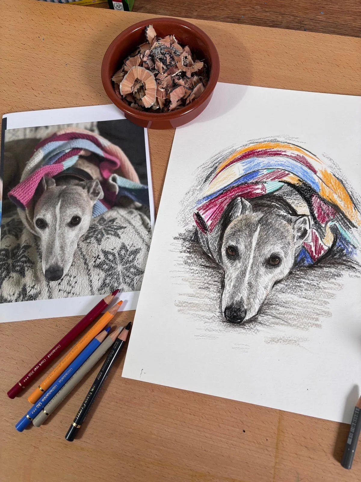 Custom pet portrait of Robbie the whippet in blanket next to reference photo