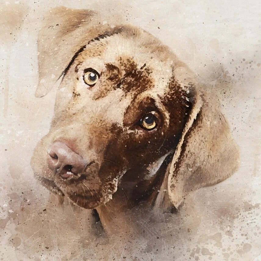 Digital pet portrait created on tablet