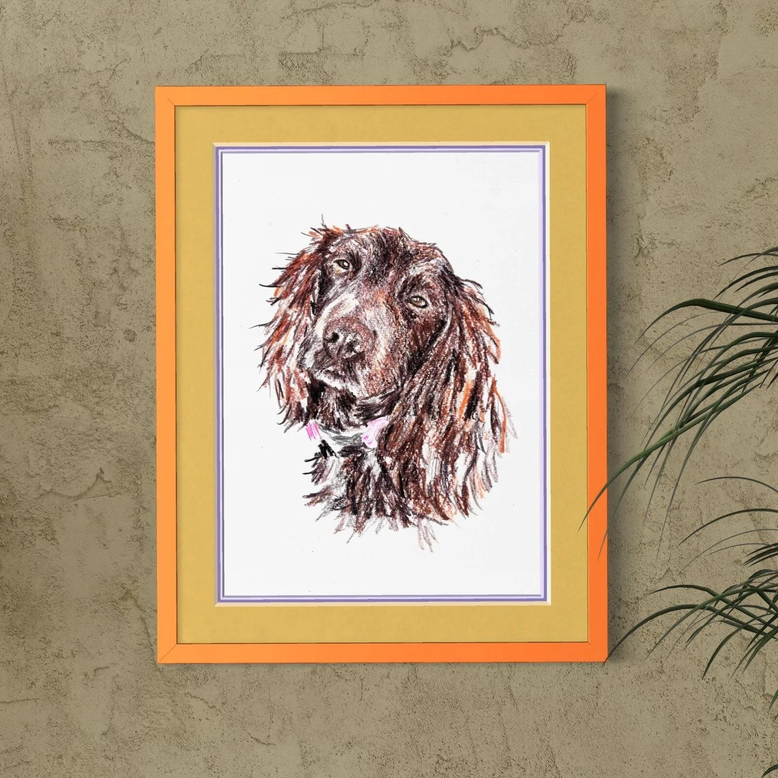 Close up of framed working cocker spaniel pet portrait on wall