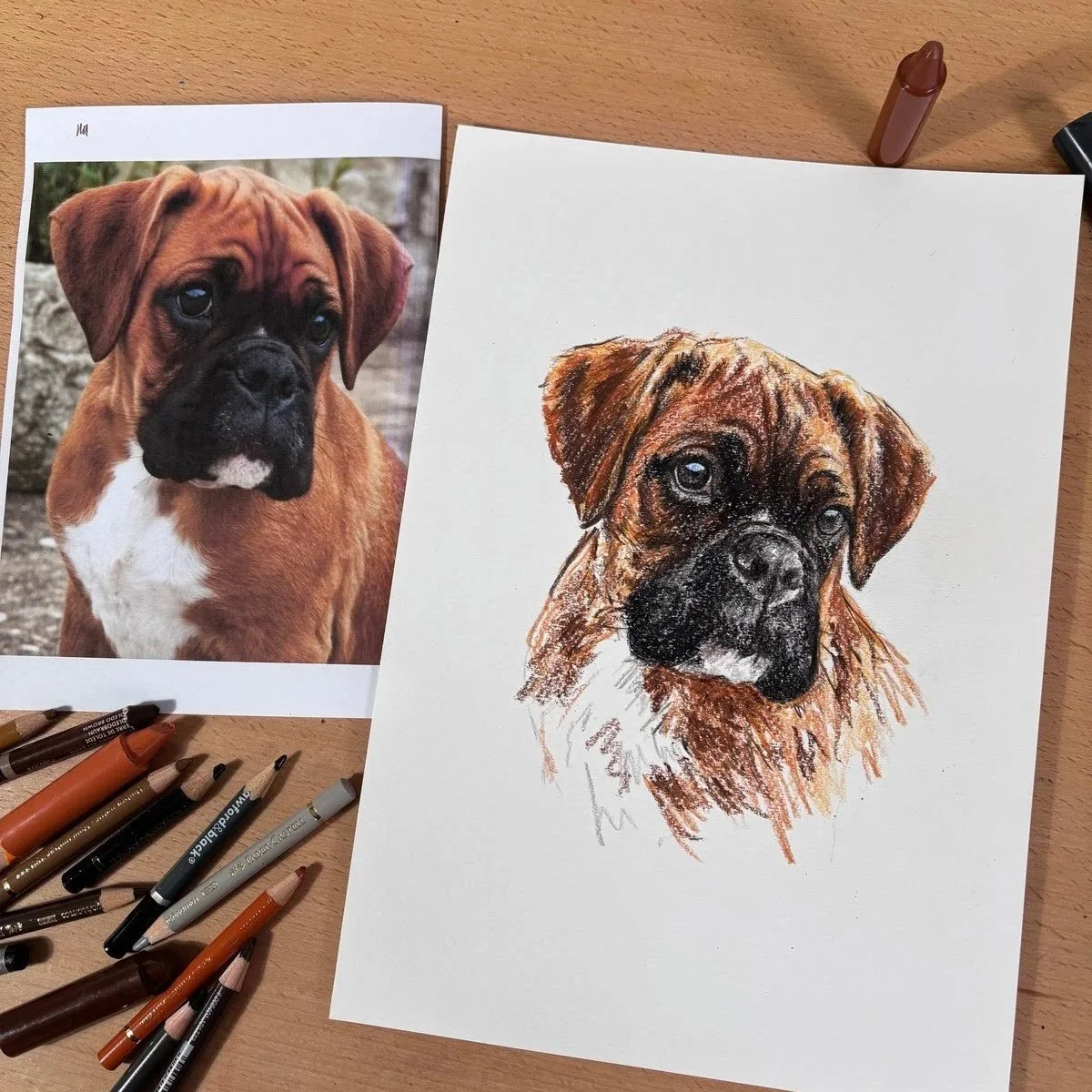 Custom boxer dog drawing next to reference photo