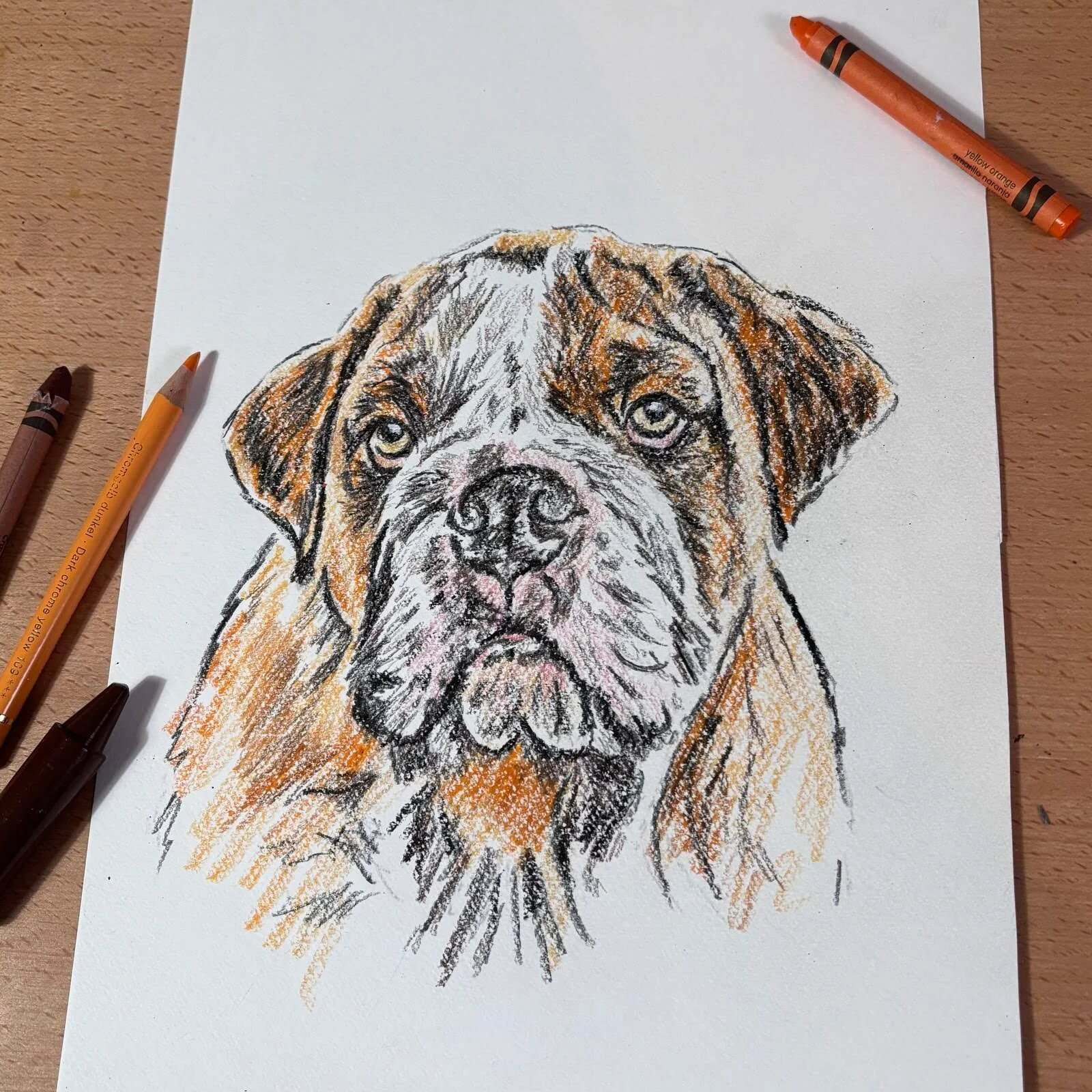 Memorial pet portrait with materials