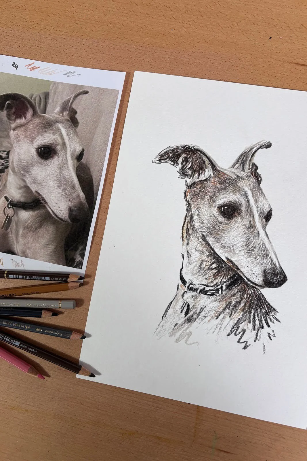 Custom pet portrait of Robbie the whippet next to reference photo