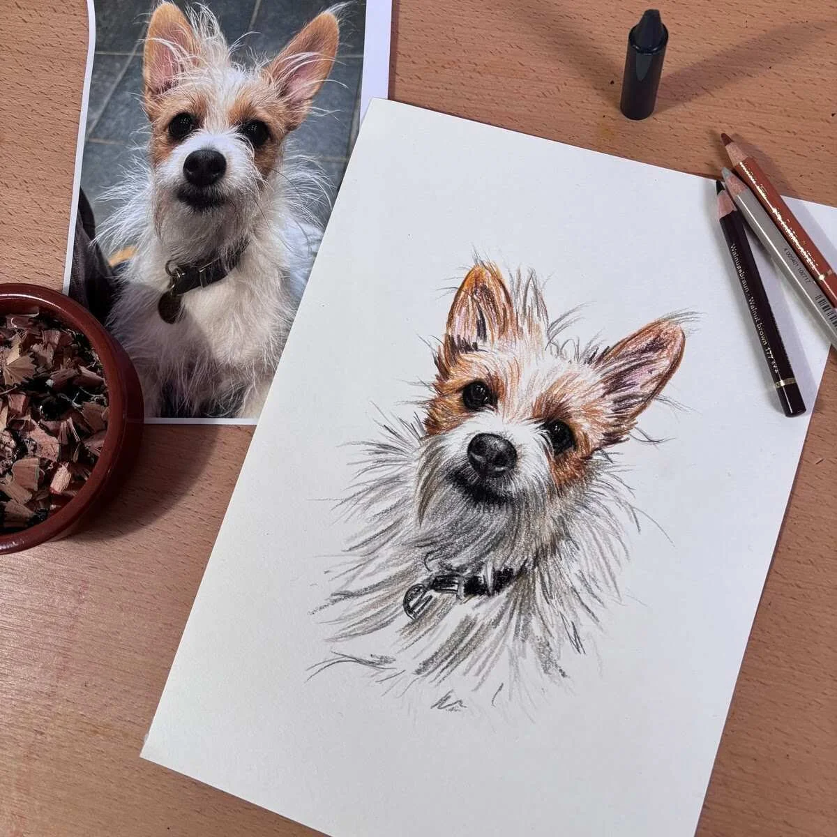 Hand drawn Jack Russell cross pet portrait of Pebbles created from a reference photo using coloured pencil and wax crayon