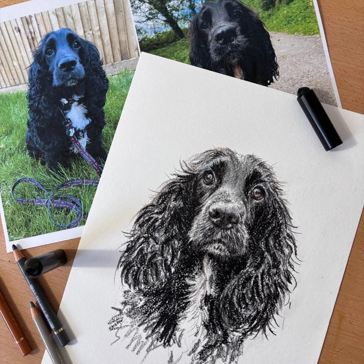 Custom cocker spaniel portrait next to reference photo