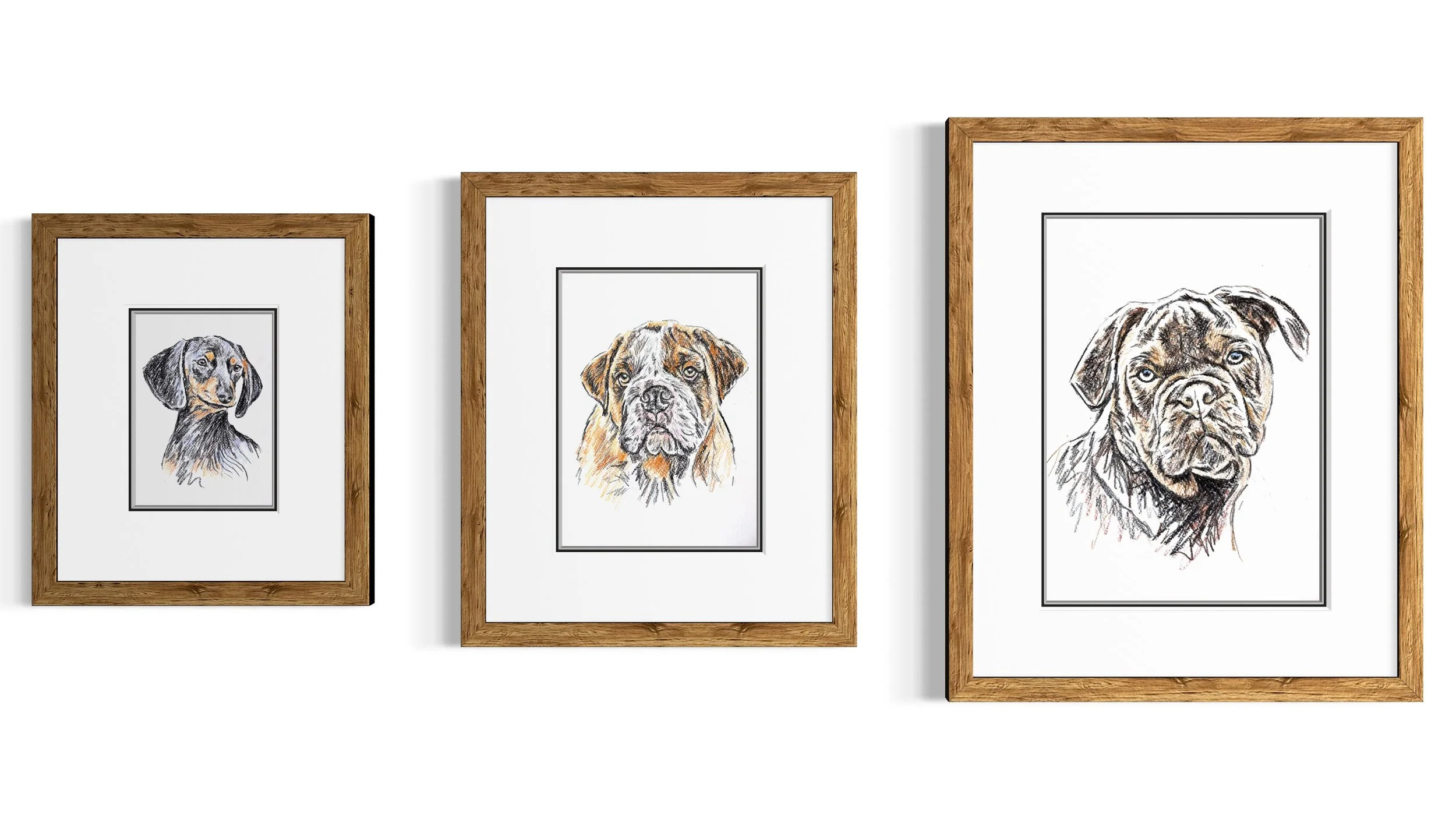 Three framed pet portrait commissions shown in A5, A4 and A3 sizes