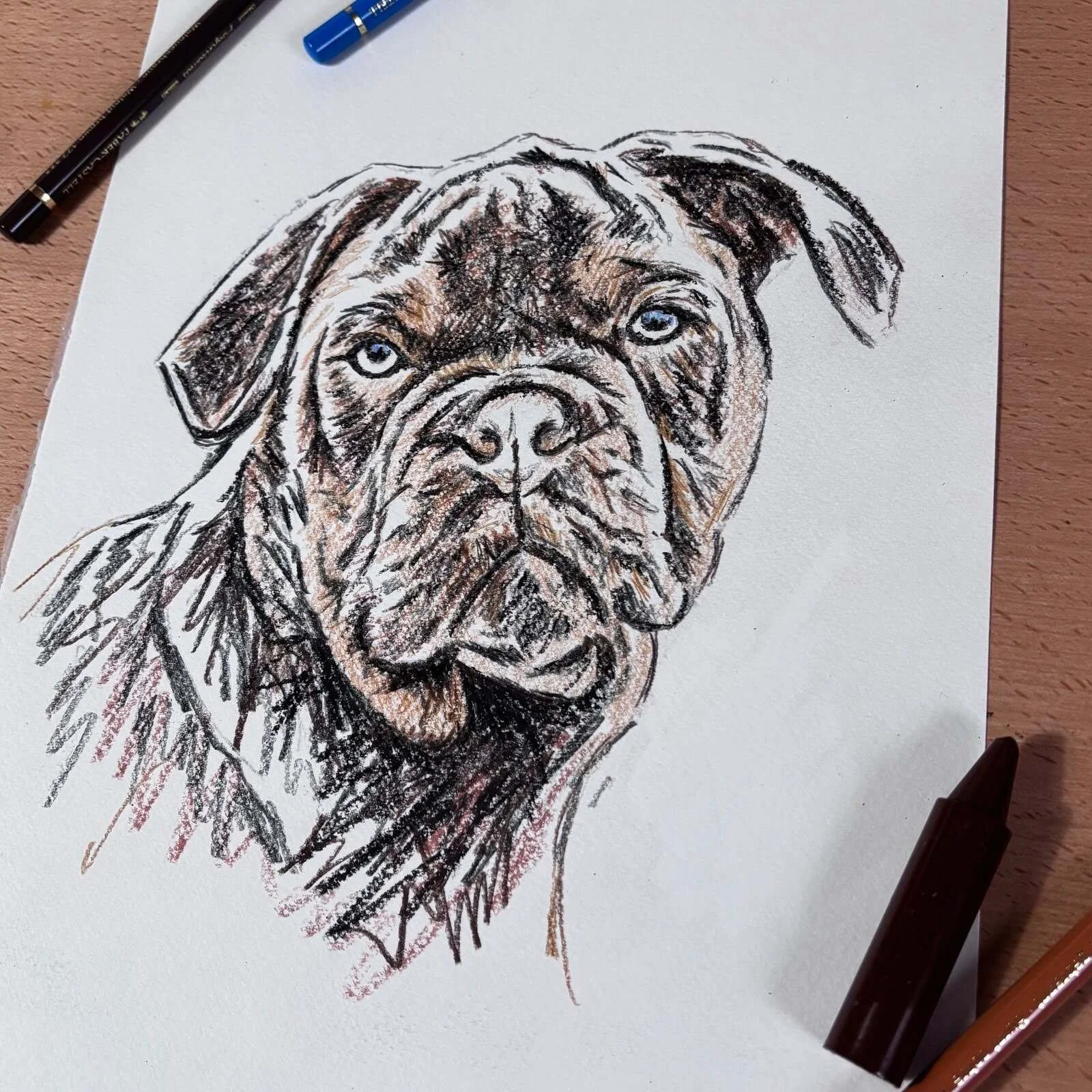 Minimalist memorial pet portrait