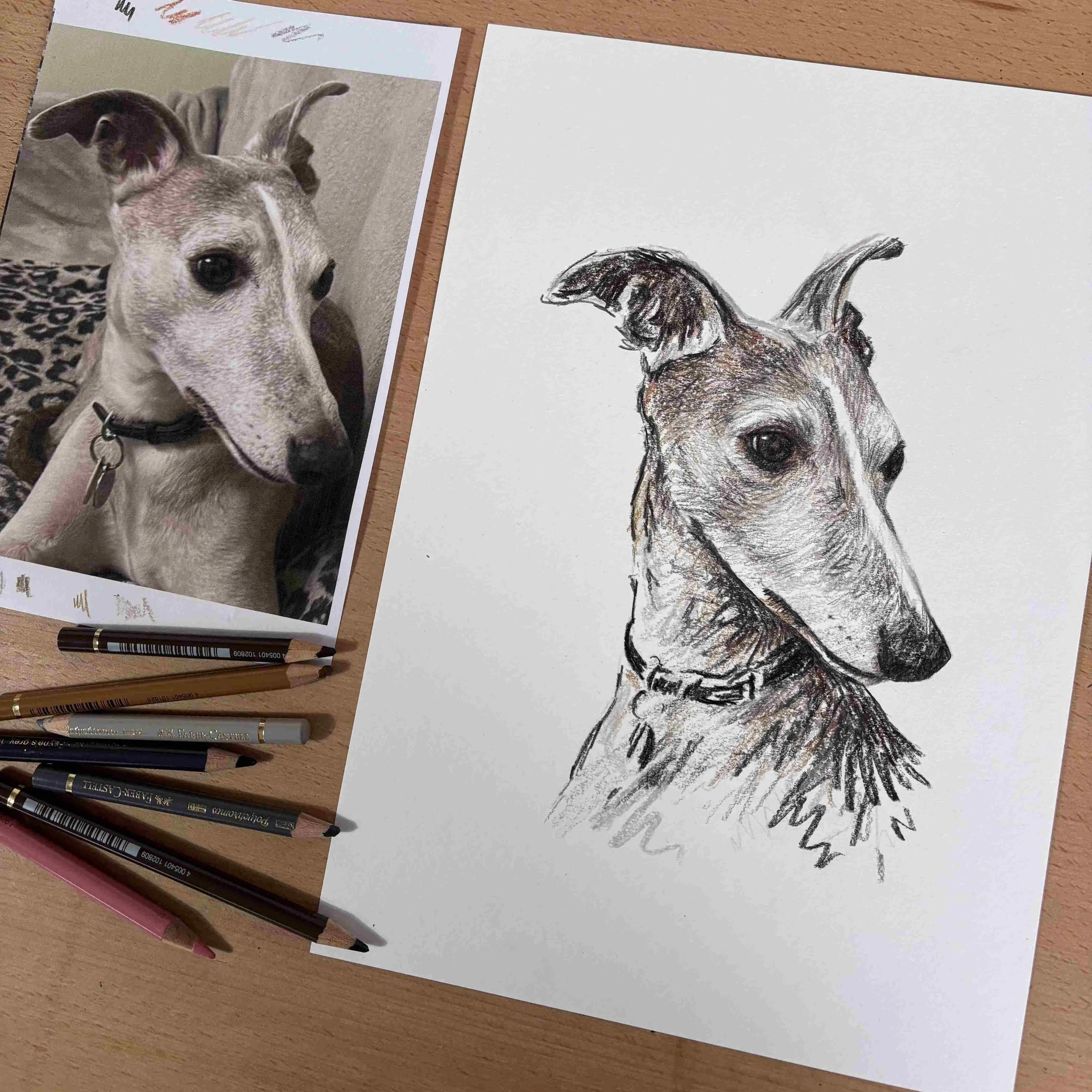 Custom whippet portrait next to reference photo and pencils