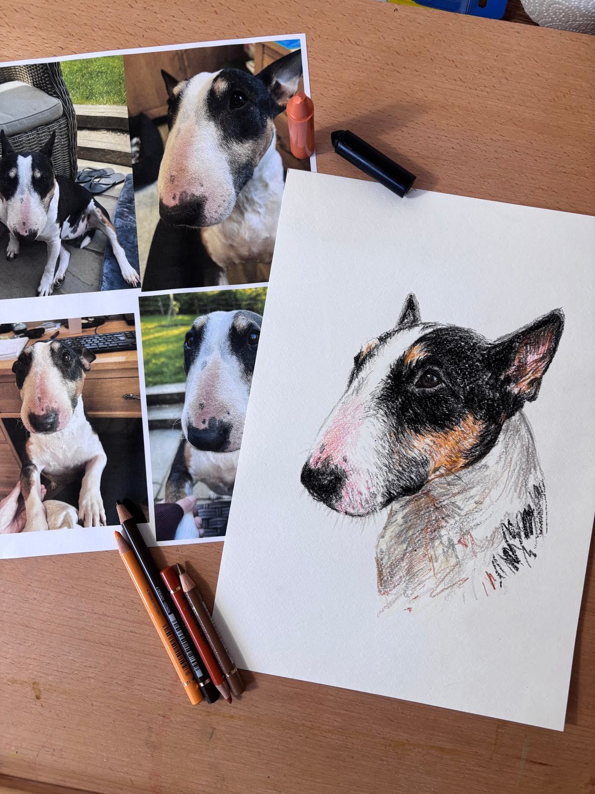 Custom bull terrier portrait next to reference photo