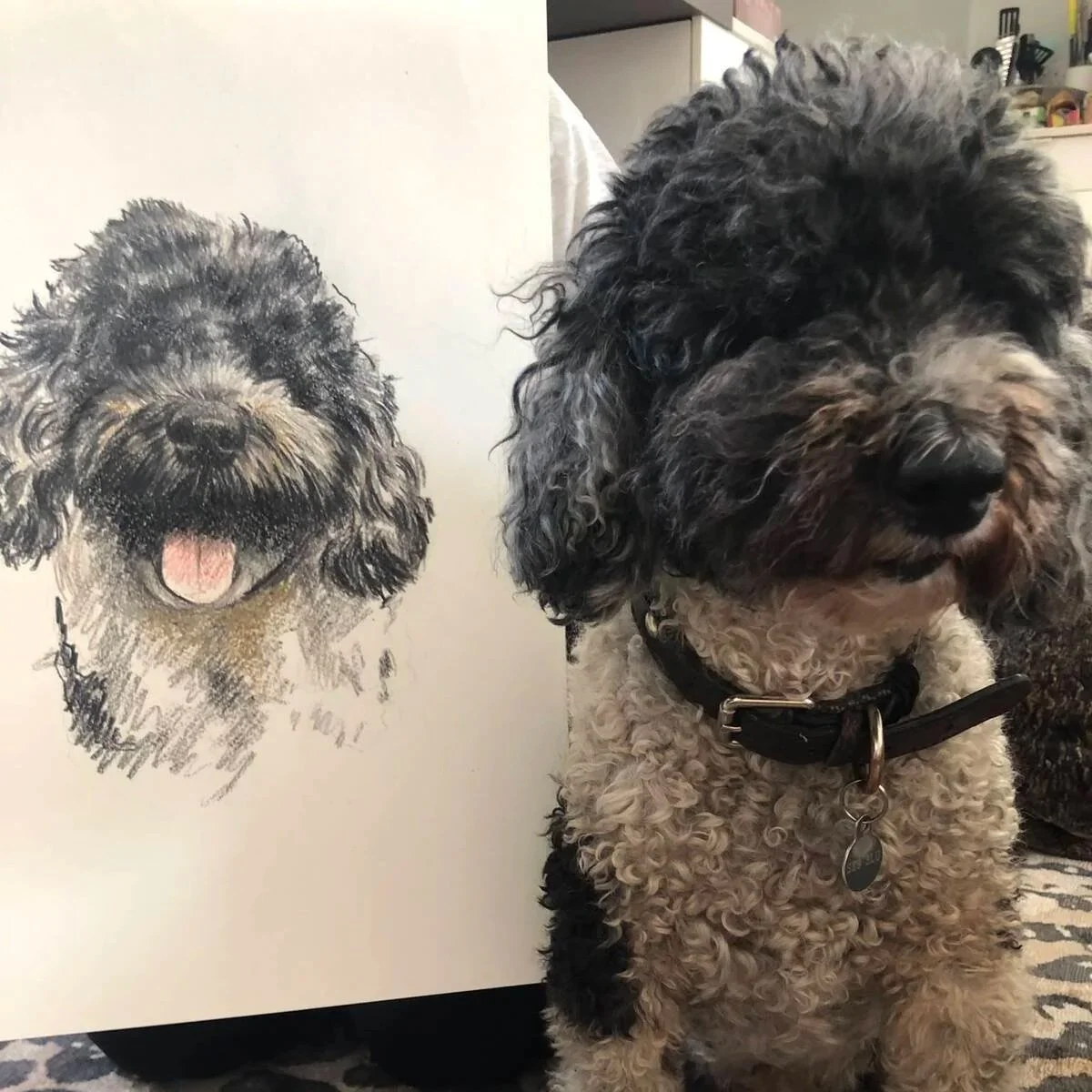 Noodle the Cockapoo next to his hand-drawn custom pet portrait.jpg