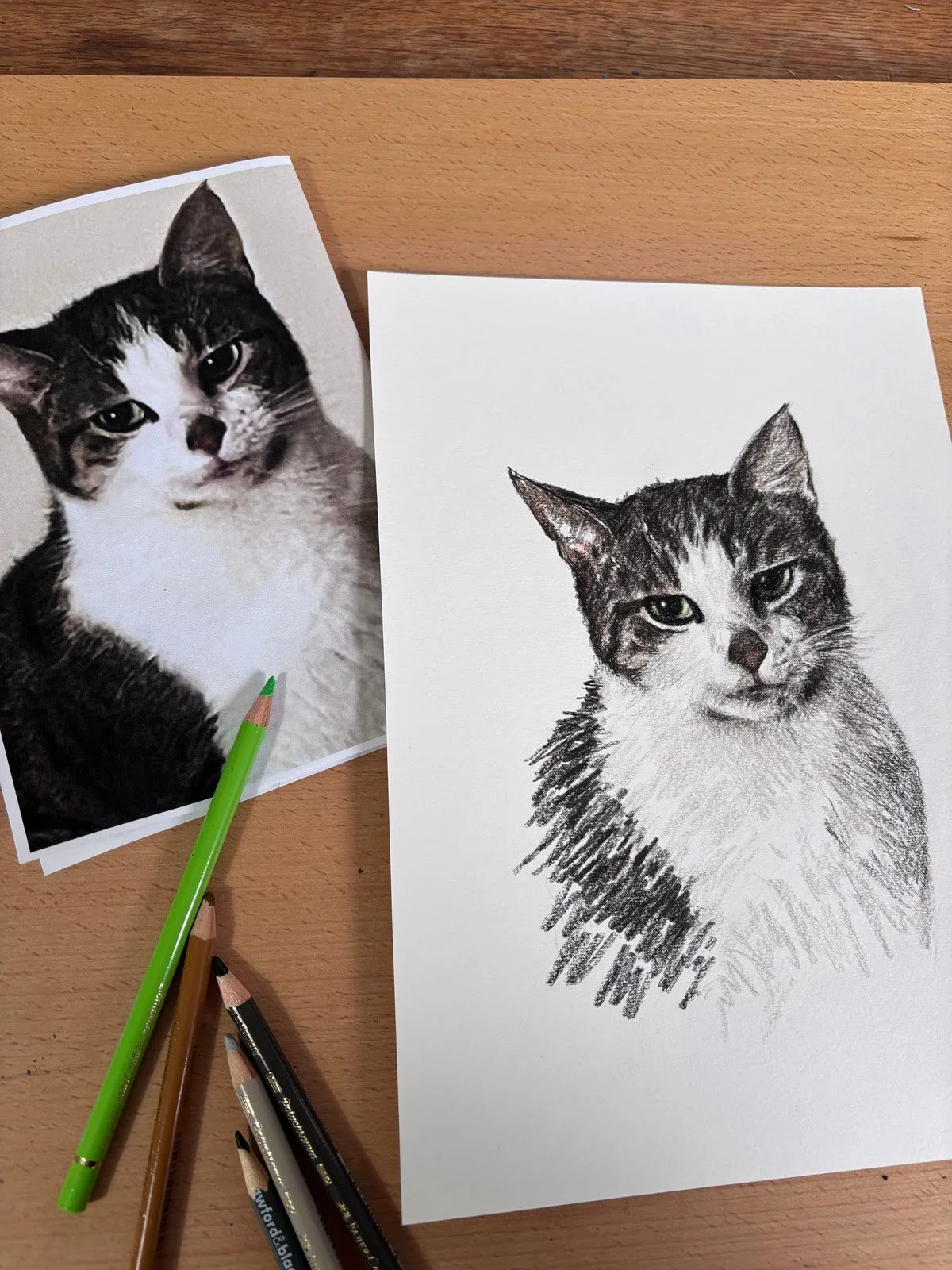 Memorial pet portrait next to reference photo of cat