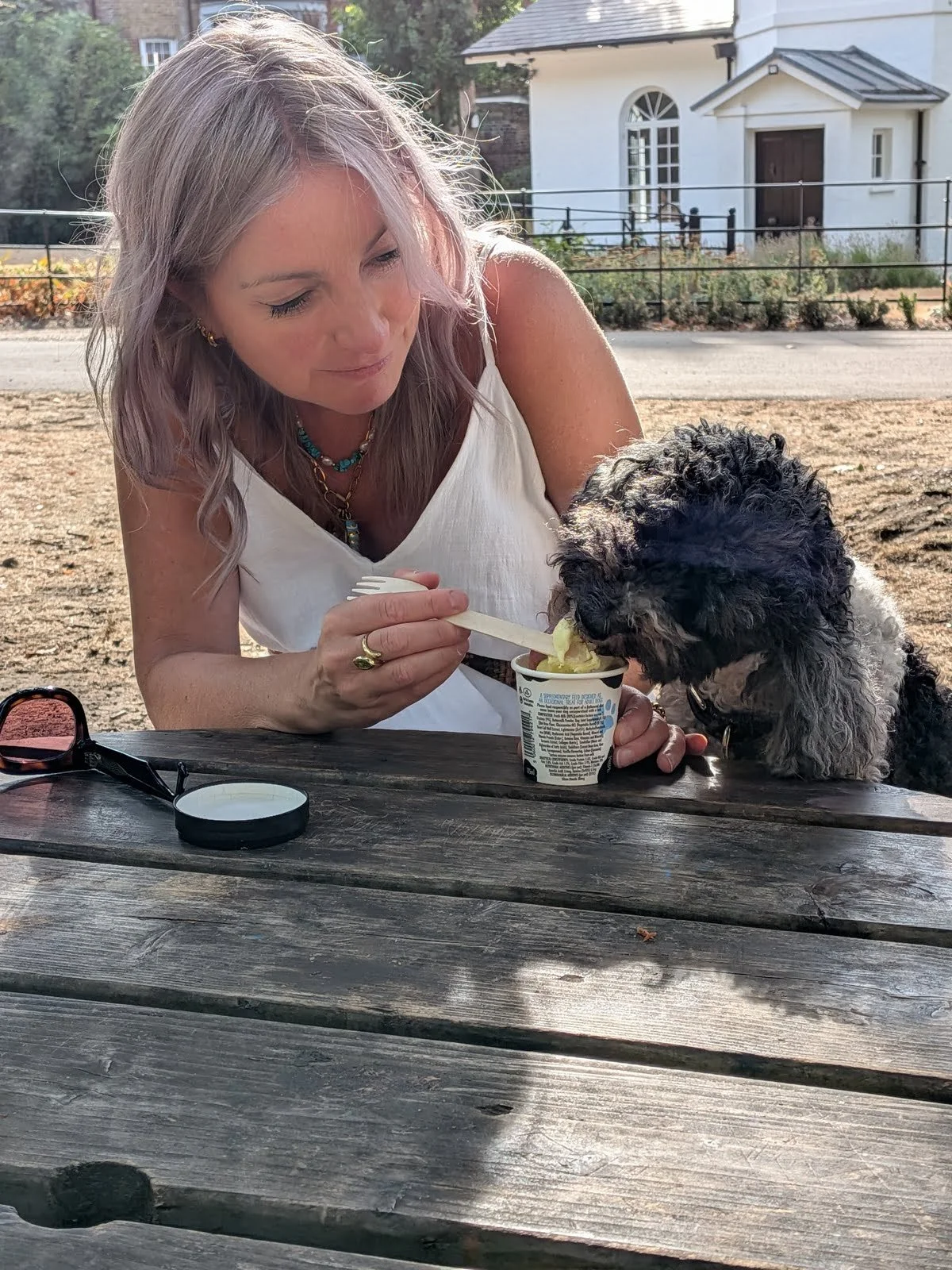 Noodle the Cockapoo eating ice cream with his owner