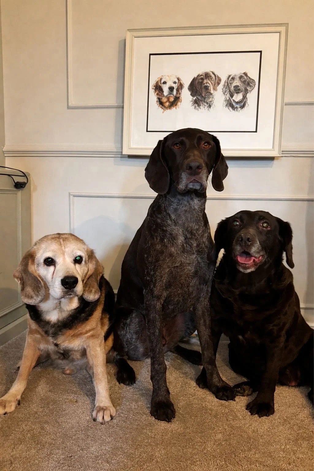 Three dogs next to their custom pet portrait