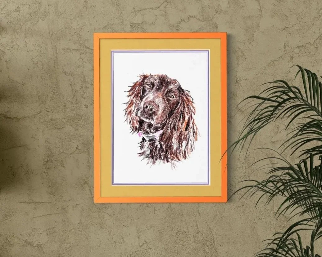 Framed working cocker spaniel pet portrait on wall