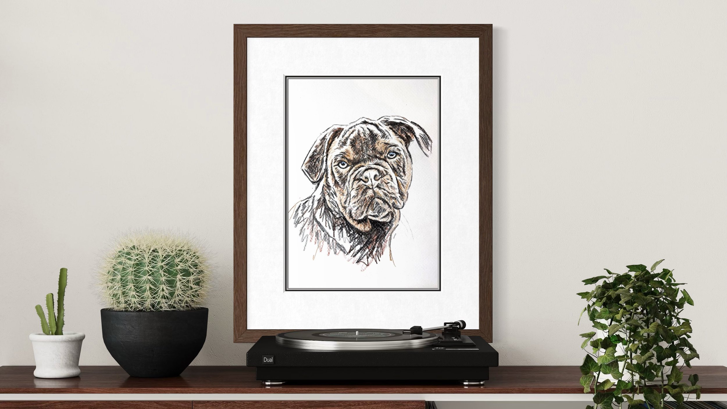 Framed hand-drawn dog portrait displayed above a record player in a modern home by Jonny Atkinson