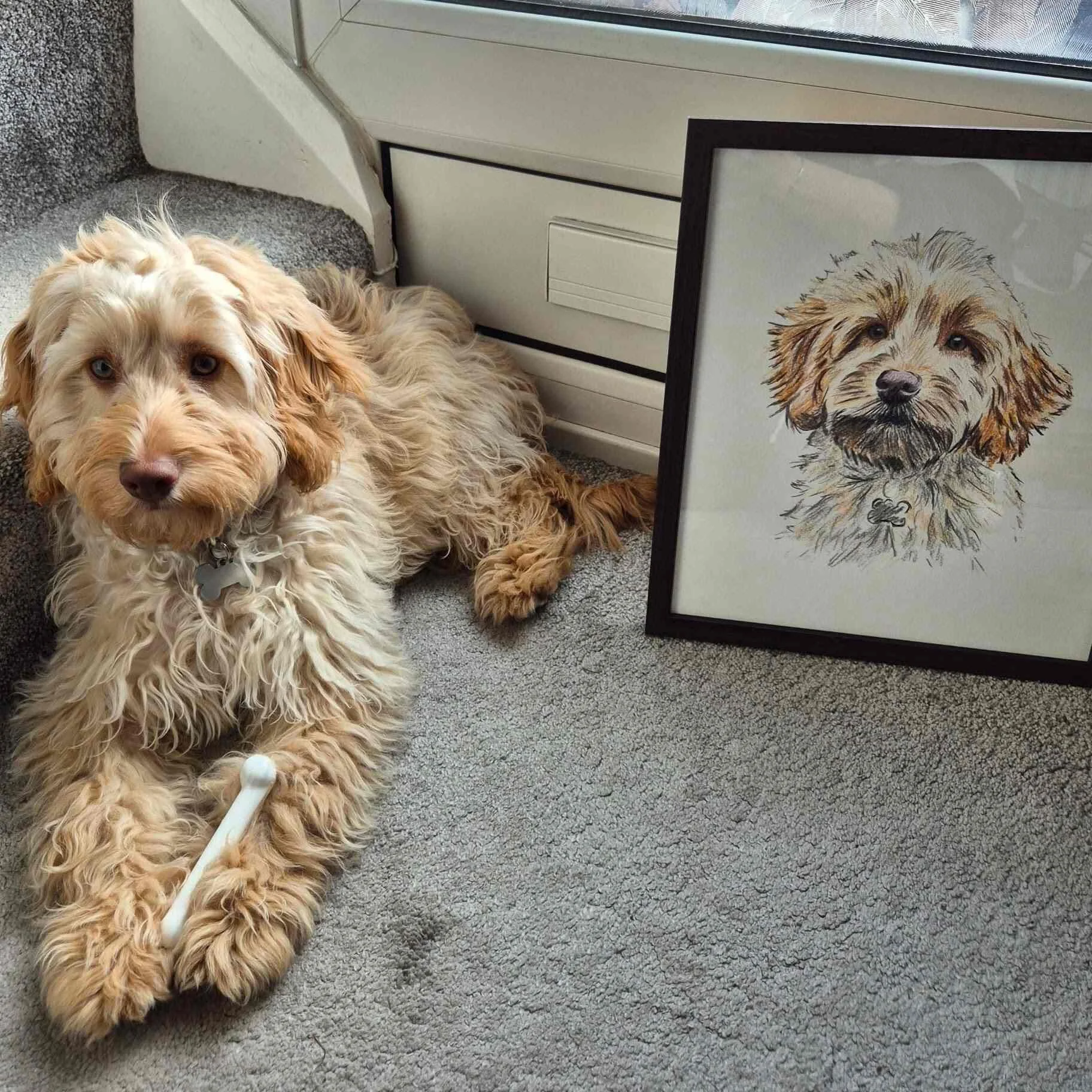 Framed dog portrait next to the dog