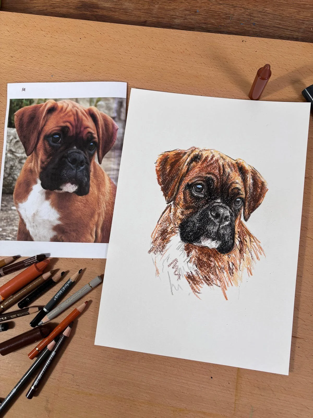 Custom boxer dog drawing next to reference photo