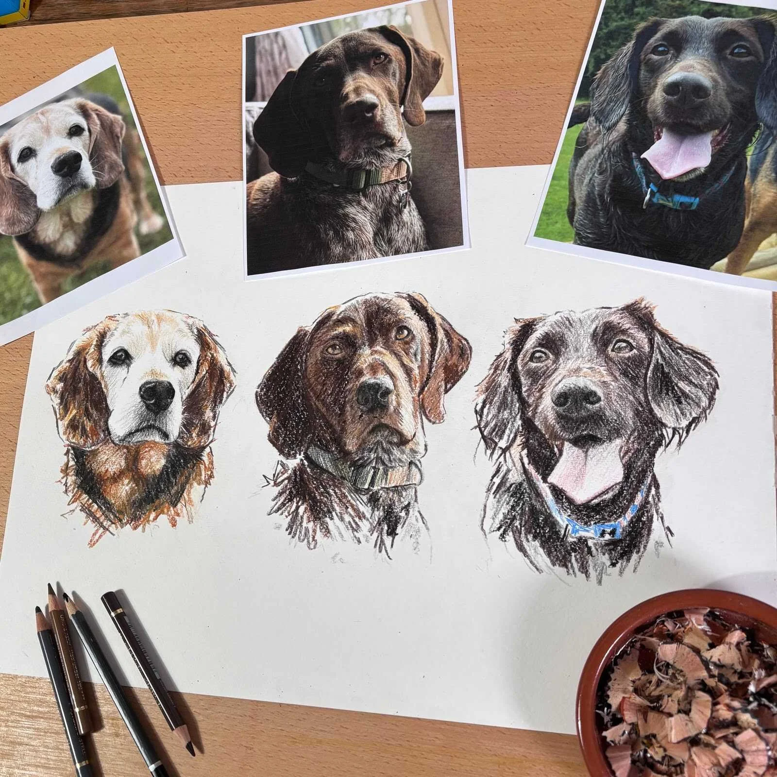 Hand drawn coloured pencil pet portrait combining Rocky the beagle, Dutch and Jessie from separate photos