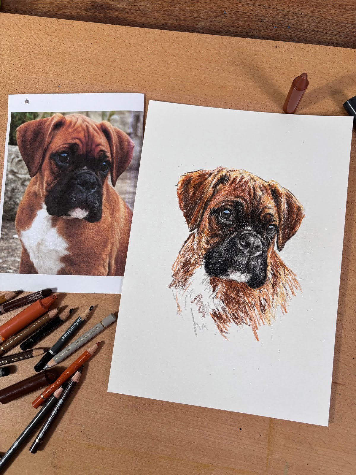 Custom boxer dog drawing next to reference photo
