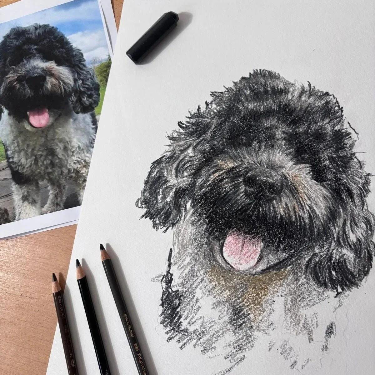 Custom pet portrait of Noodle the cockapoo next to reference photo