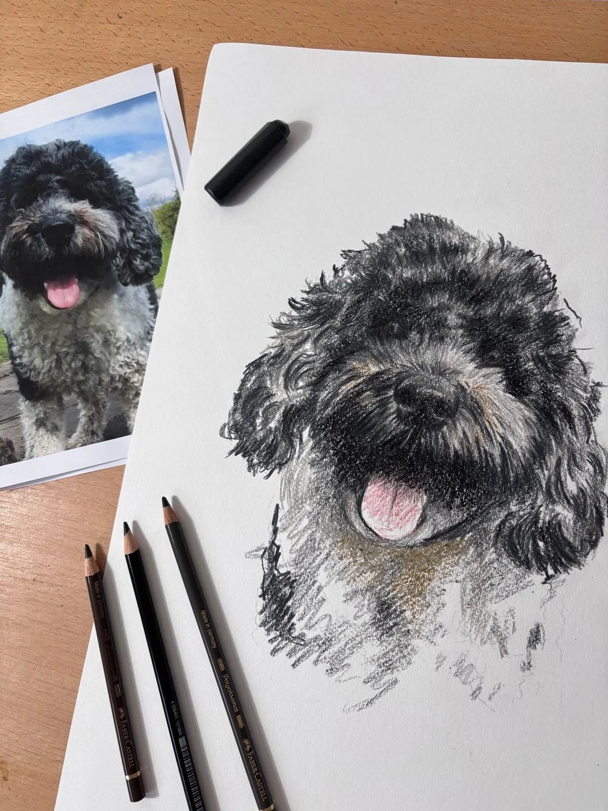 Custom pet portrait of Noodle the cockapoo next to reference photo