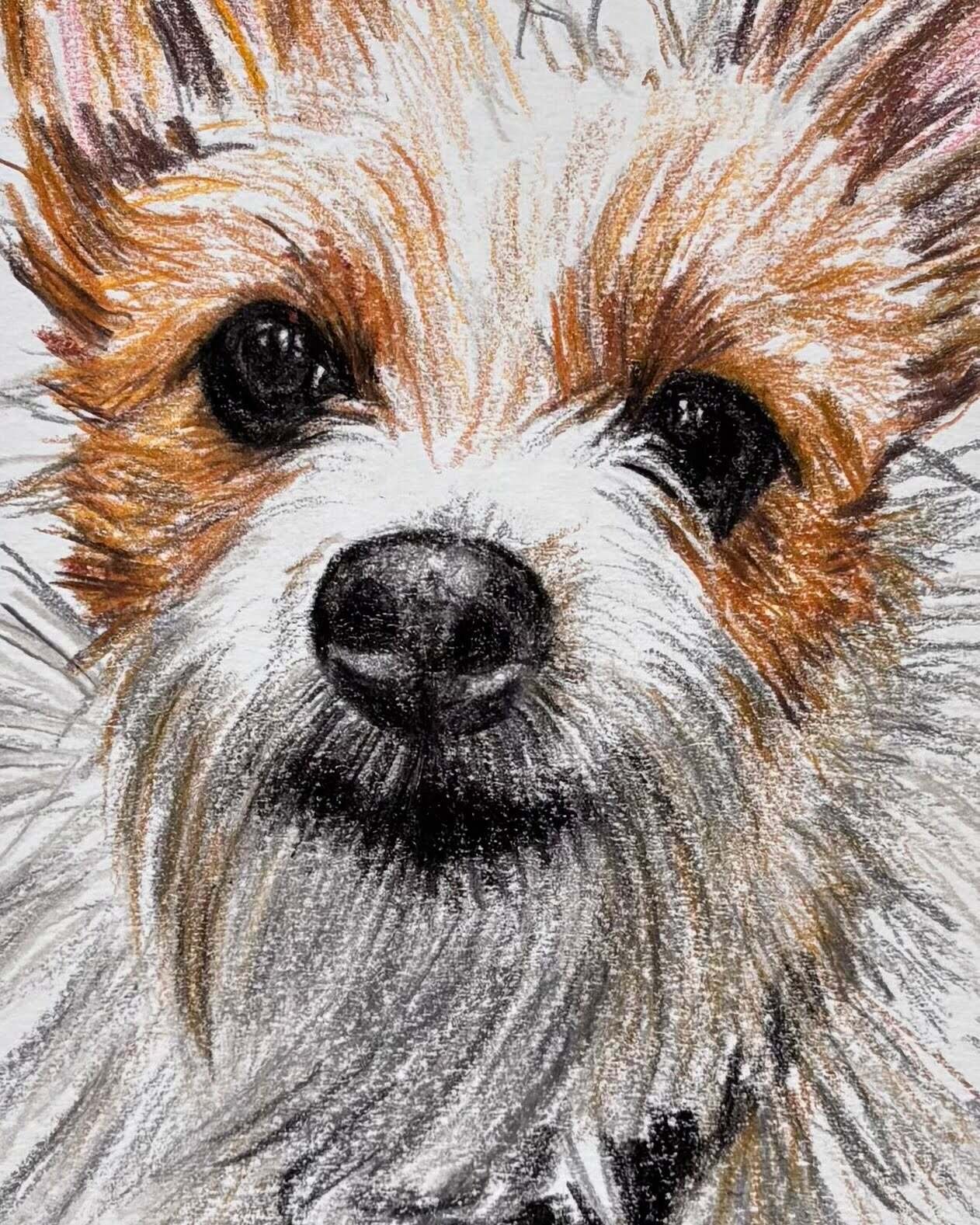 Close up detail of custom dog portrait showing texture