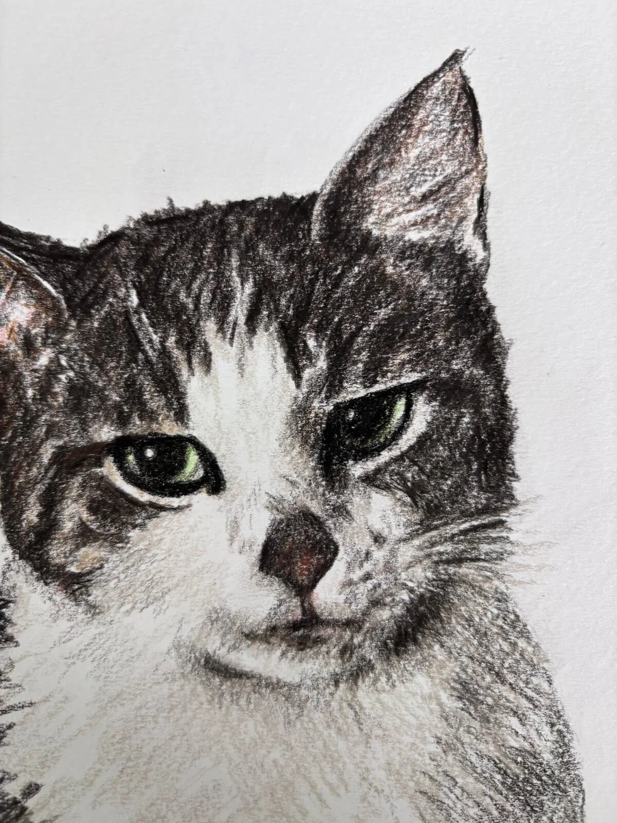Close up detail of custom cat portrait showing texture